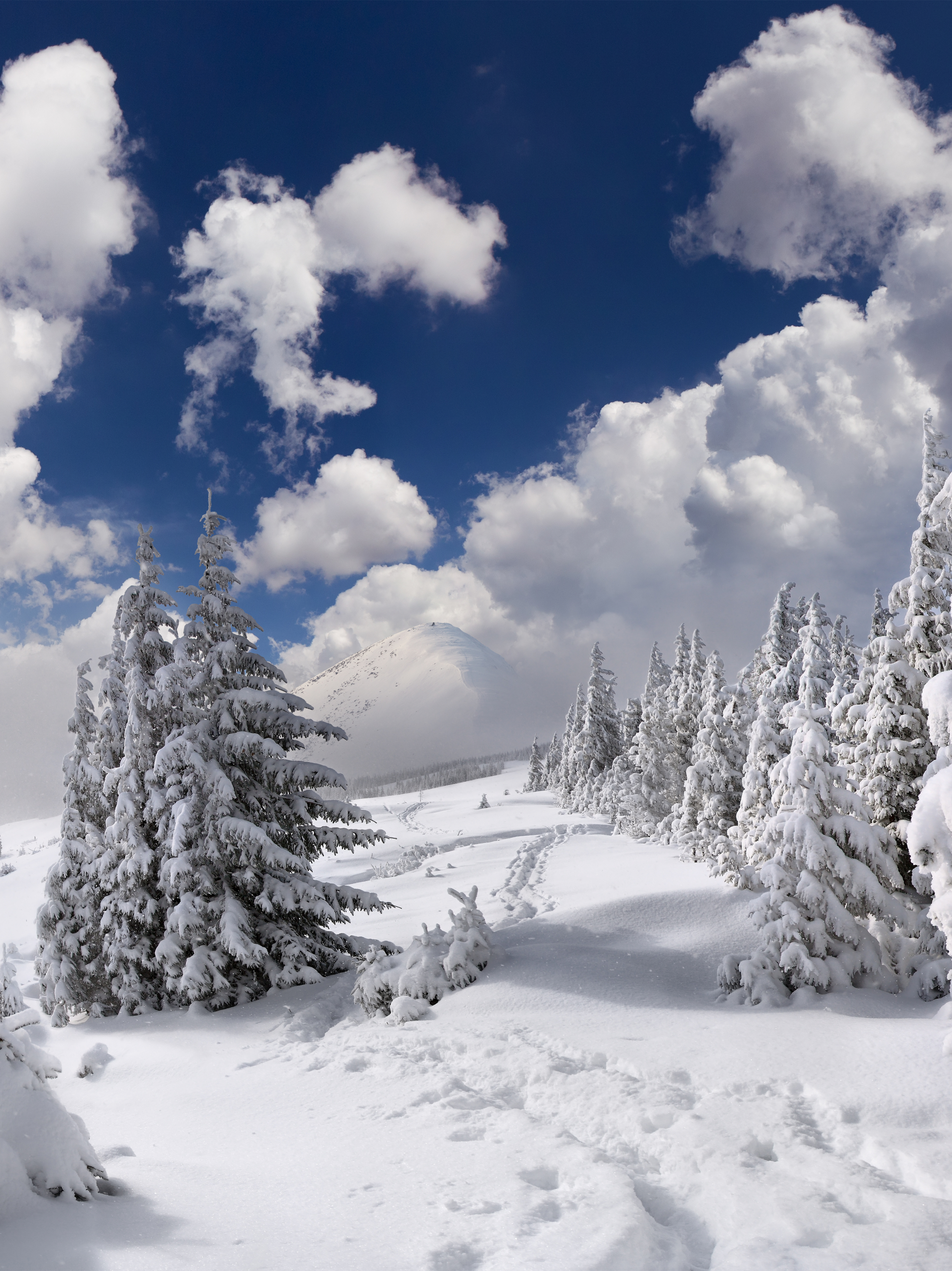 Download mobile wallpaper Winter, Snow, Earth, Cloud for free.