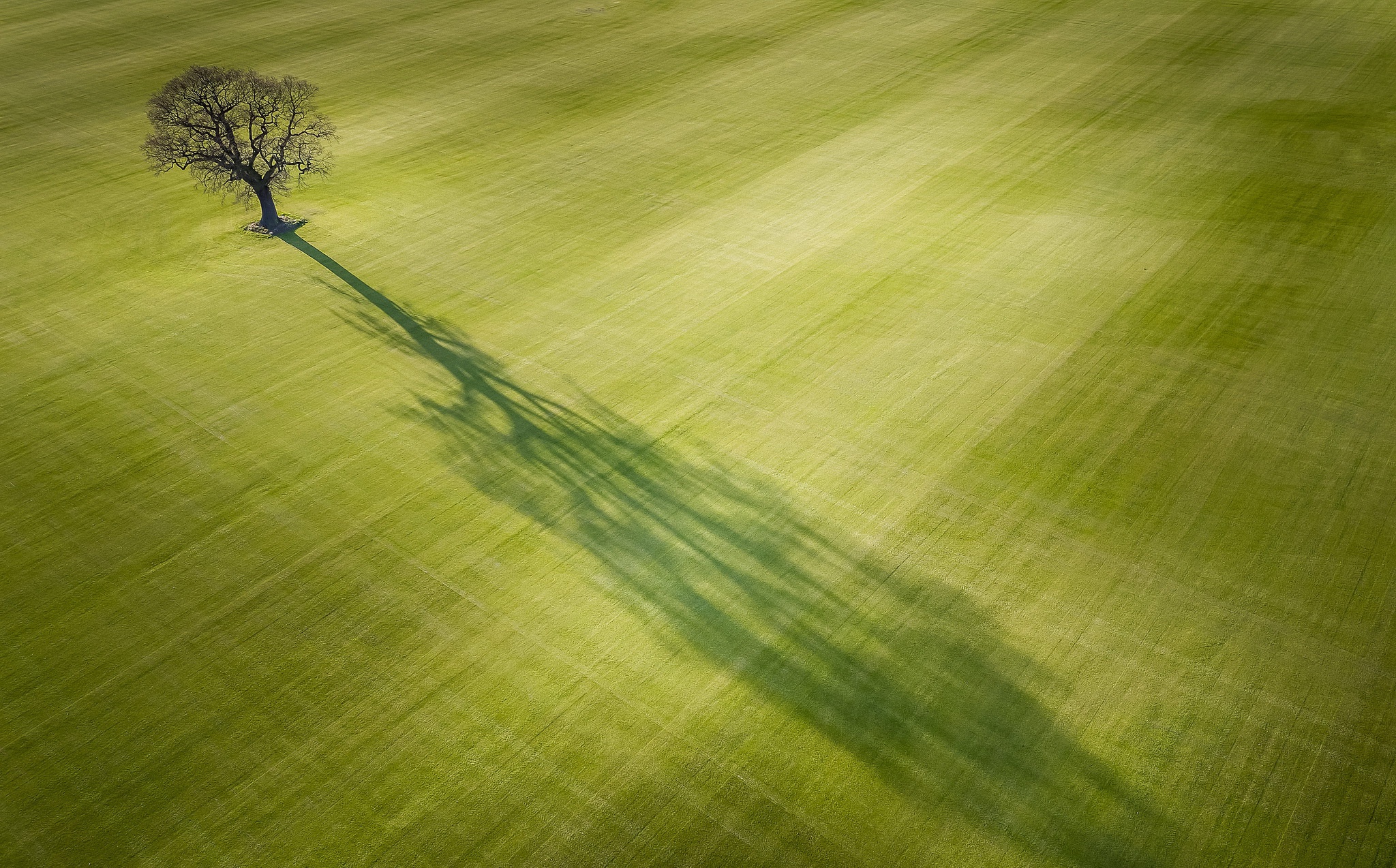 Free download wallpaper Nature, Trees, Grass, Tree, Earth, Shadow, Aerial, Lonely Tree on your PC desktop