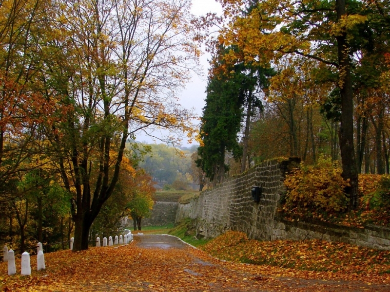 Download mobile wallpaper Landscape, Roads, Autumn for free.