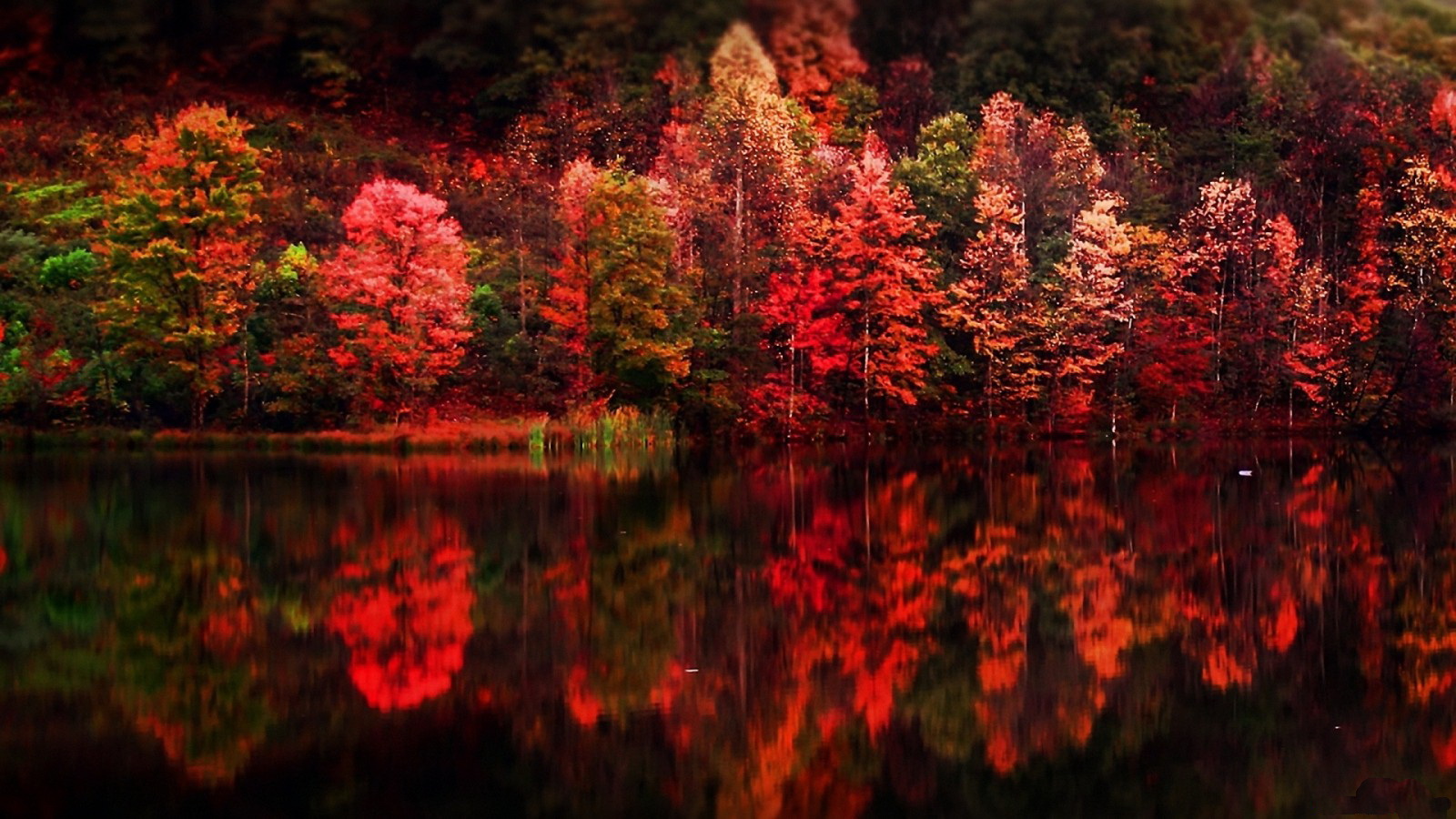 Free download wallpaper Reflection, Earth on your PC desktop