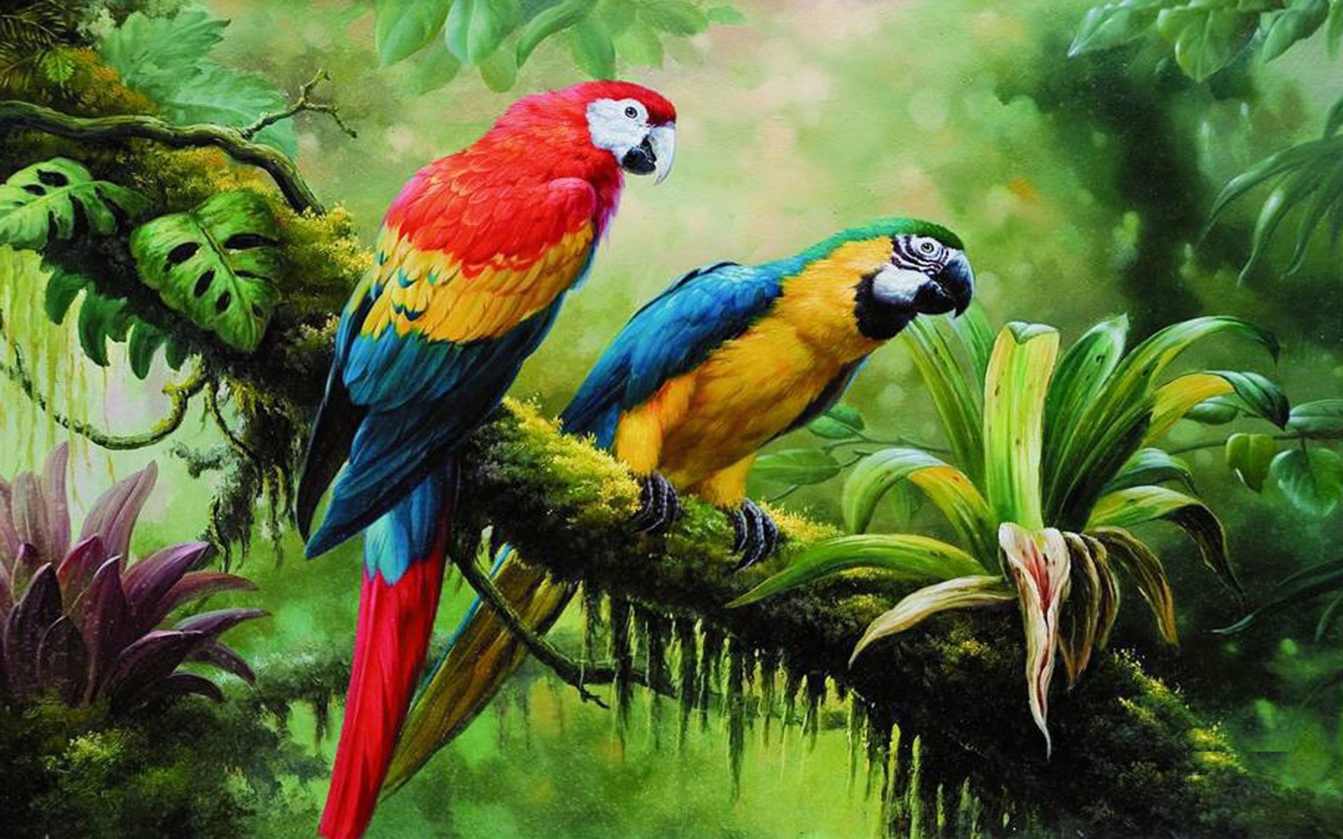 Free download wallpaper Bird, Branch, Animal, Colorful, Jungle, Macaw, Rainforest on your PC desktop