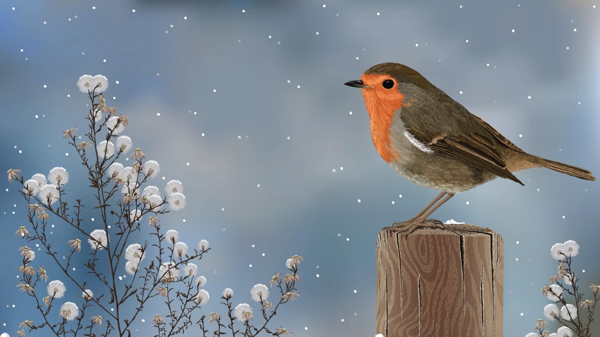 Download mobile wallpaper Birds, Bird, Animal, Spring, Robin for free.