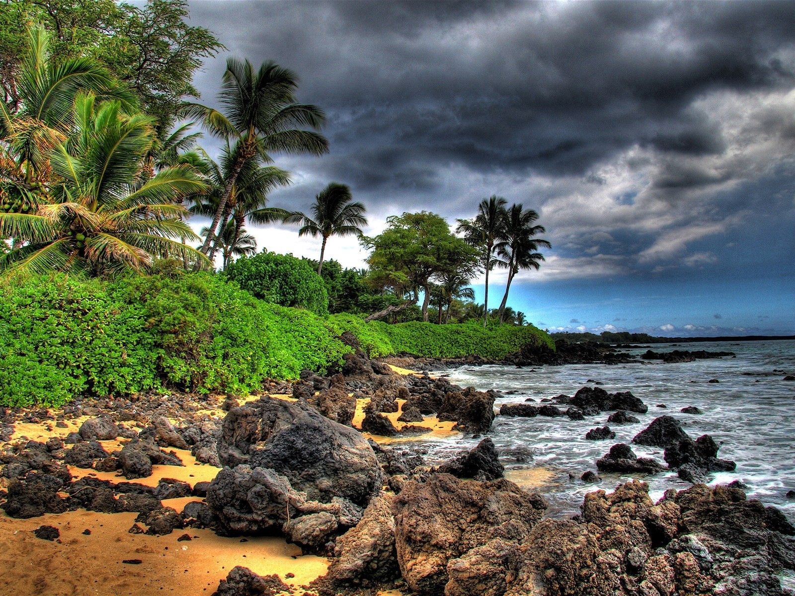66971 скачать картинку шторм, пляж, природа, камни, небо, пальмы, берег, тучи - обои и заставки бесплатно