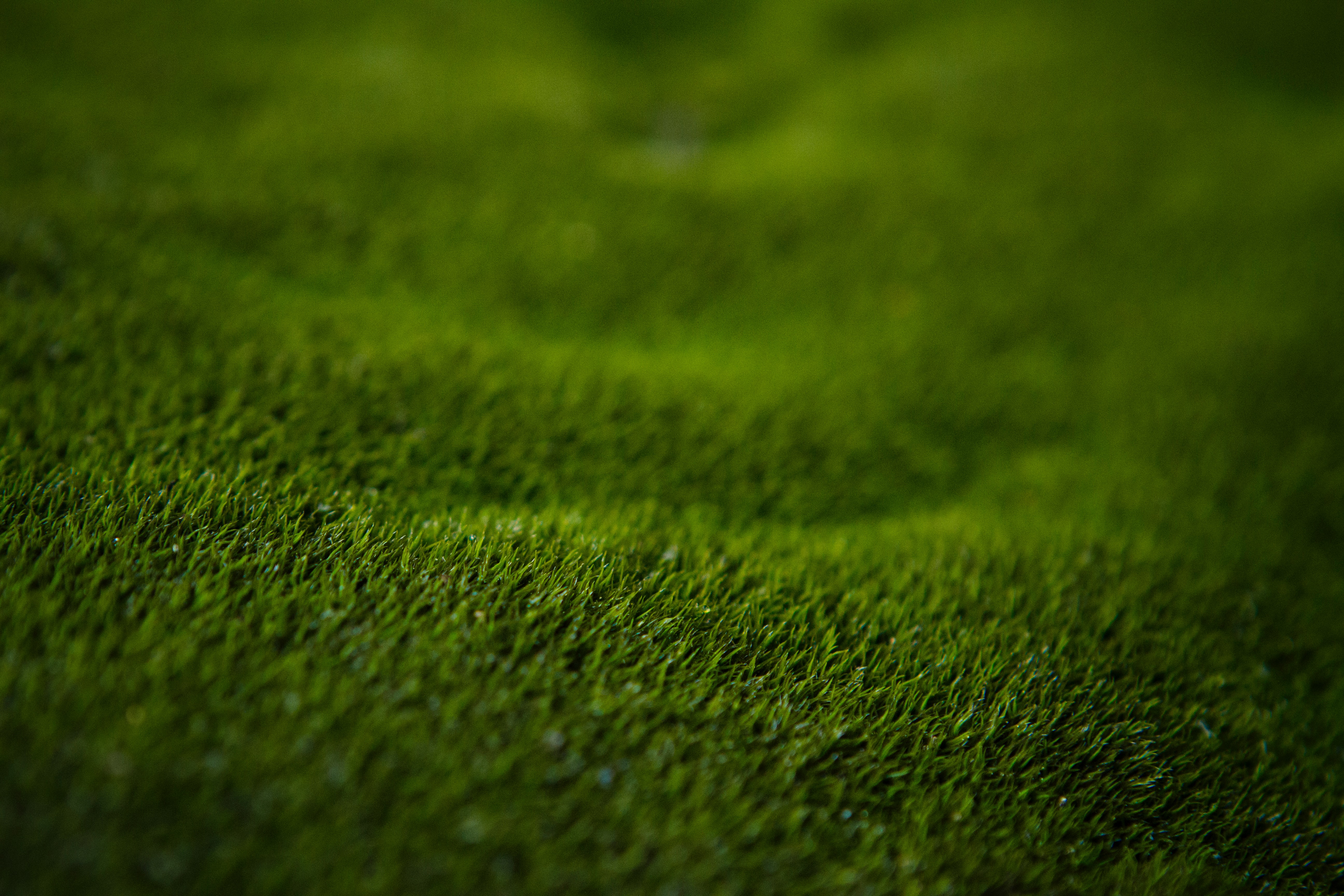 115031壁紙のダウンロード草, 緑, 大きい, マクロ, 芝生-スクリーンセーバーと写真を無料で