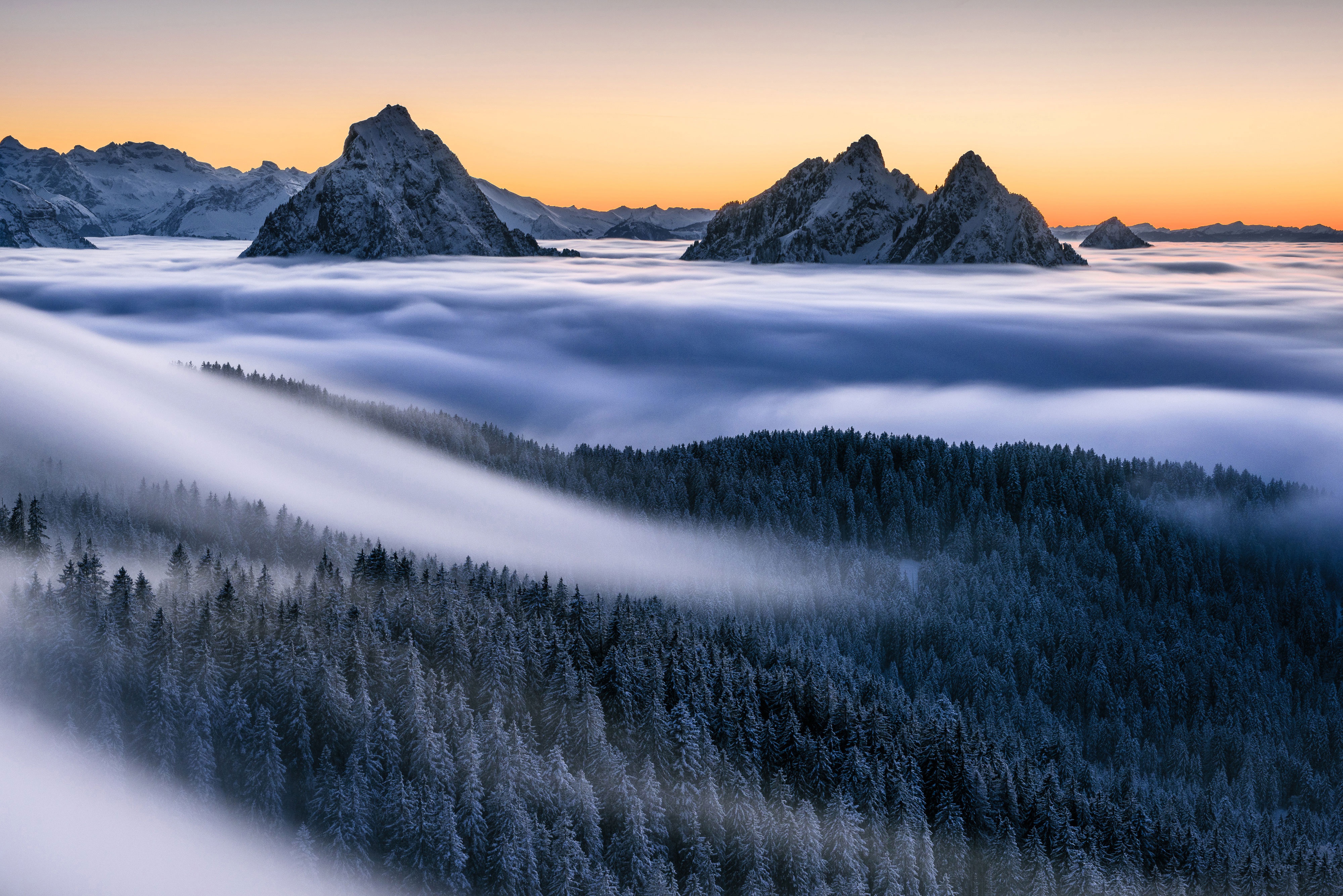 PCデスクトップに風景, 自然, 山, 森, 霧, 日の出, 地球画像を無料でダウンロード