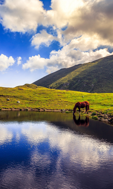 Download mobile wallpaper Nature, Lakes, Mountain, Lake, Reflection, Earth, Cloud, Horse for free.