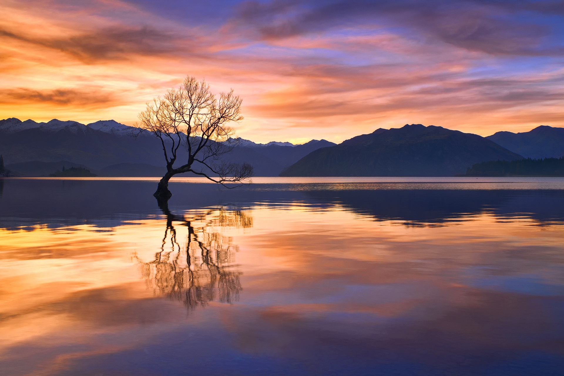 Download mobile wallpaper Landscape, Nature, Mountain, Reflection, Tree, Earth, Lonely Tree for free.