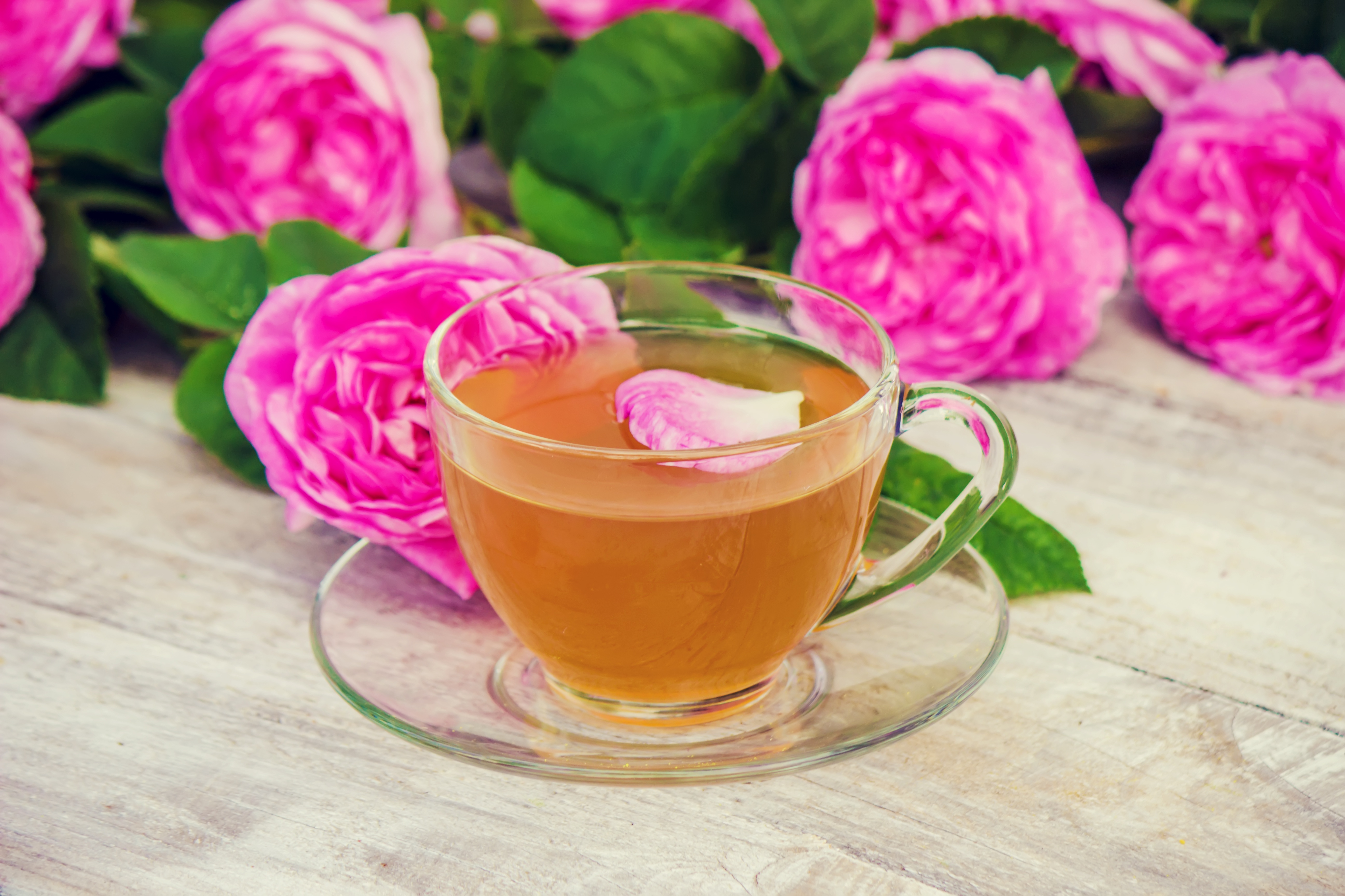 Free download wallpaper Food, Flower, Rose, Glass, Drink, Tea, Pink Flower on your PC desktop