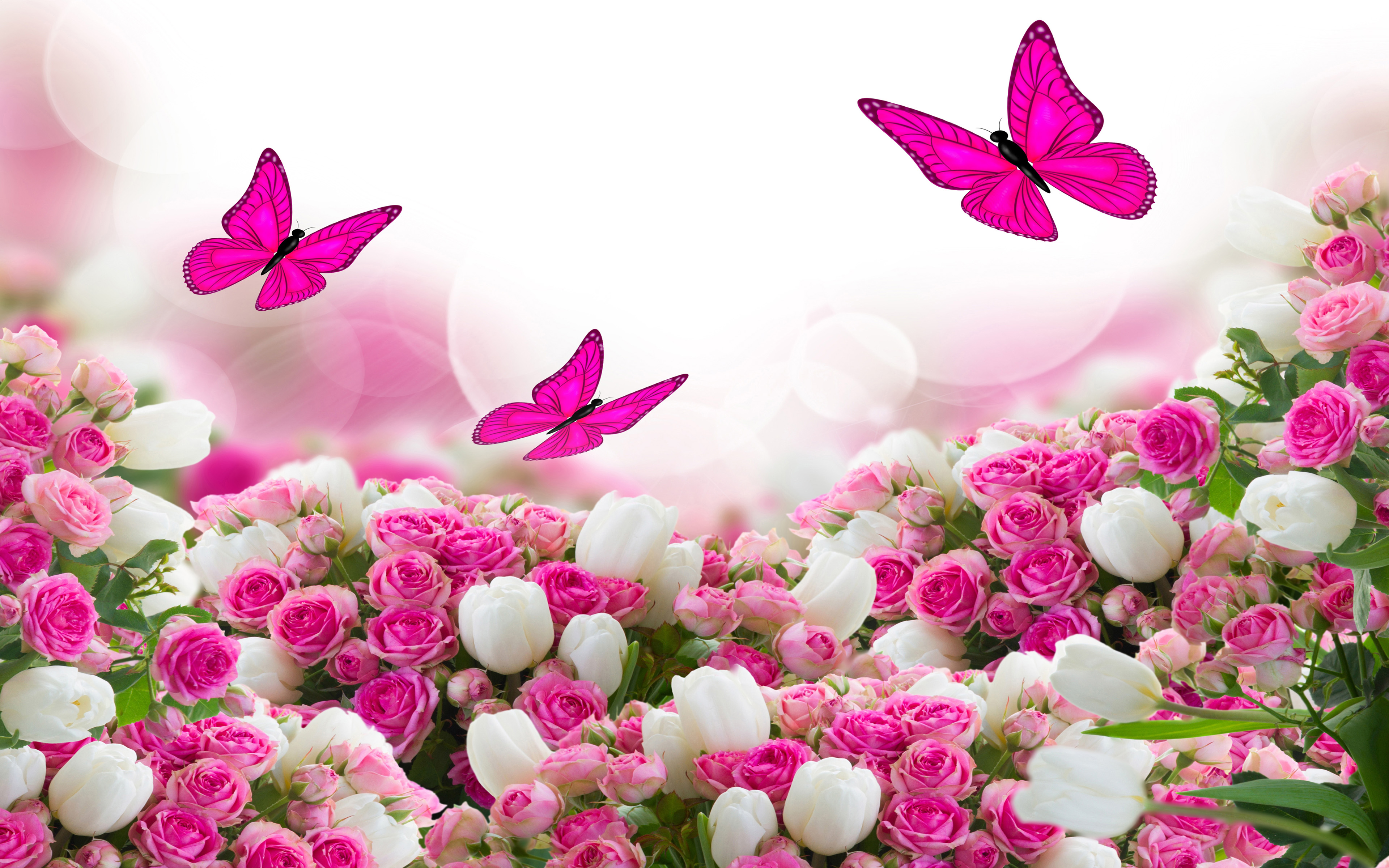 Скачать обои бесплатно Цветок, Роза, Бабочка, Белый Цветок, Художественные, Розовый Цветок картинка на рабочий стол ПК