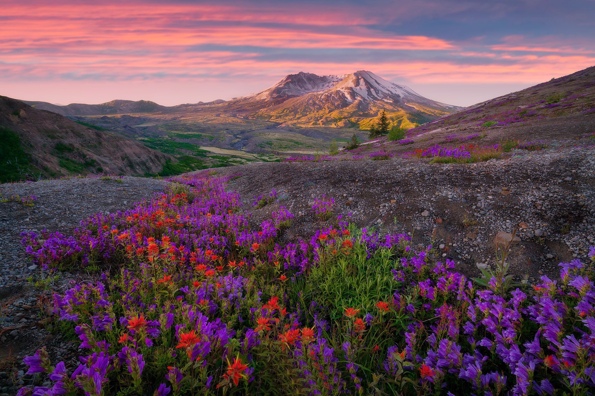 Laden Sie das Landschaft, Natur, Sonnenaufgang, Gebirge, Lila Blume, Erde/natur, Wildblume-Bild kostenlos auf Ihren PC-Desktop herunter