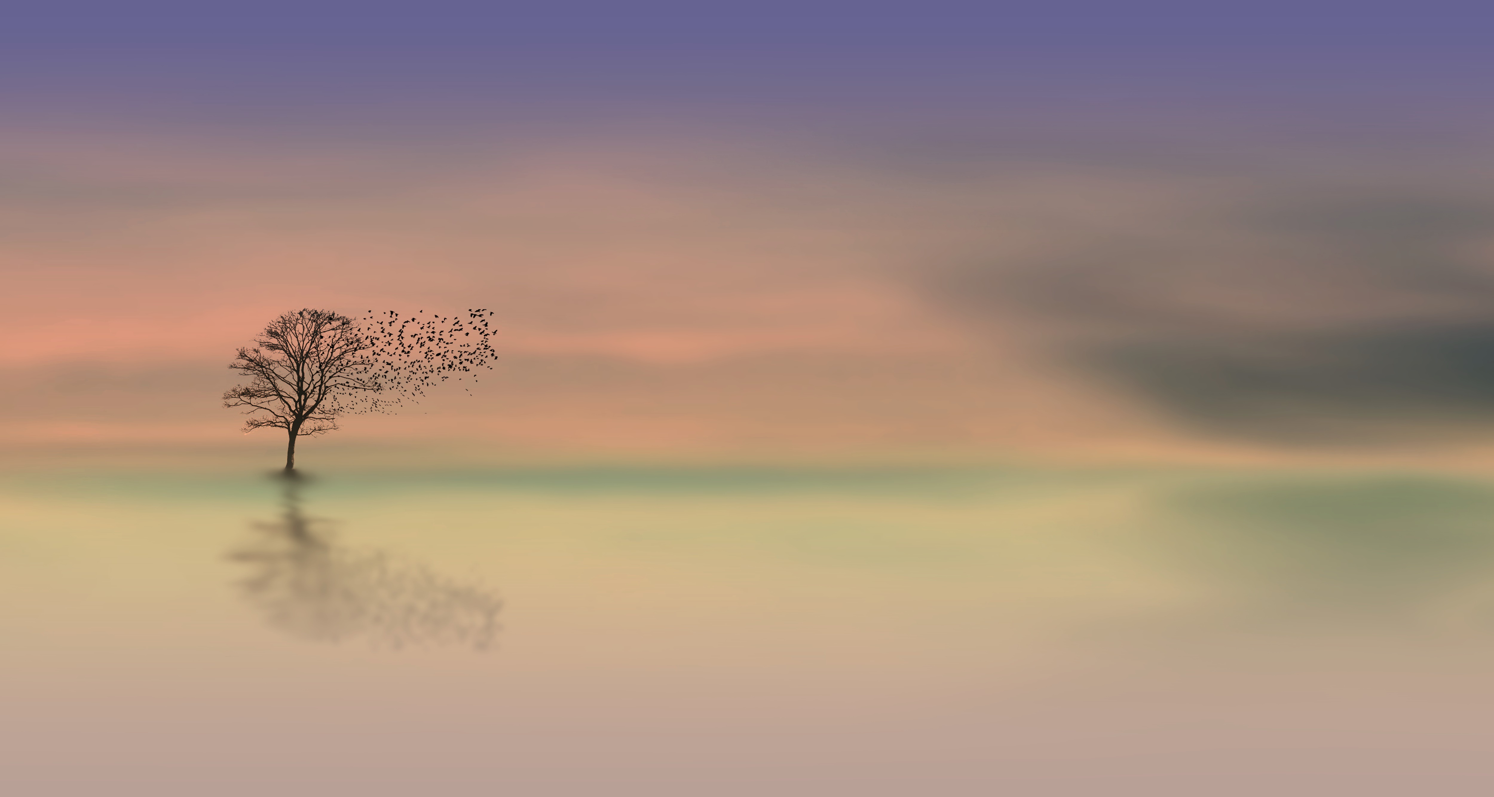 Free download wallpaper Sunset, Horizon, Tree, Artistic on your PC desktop