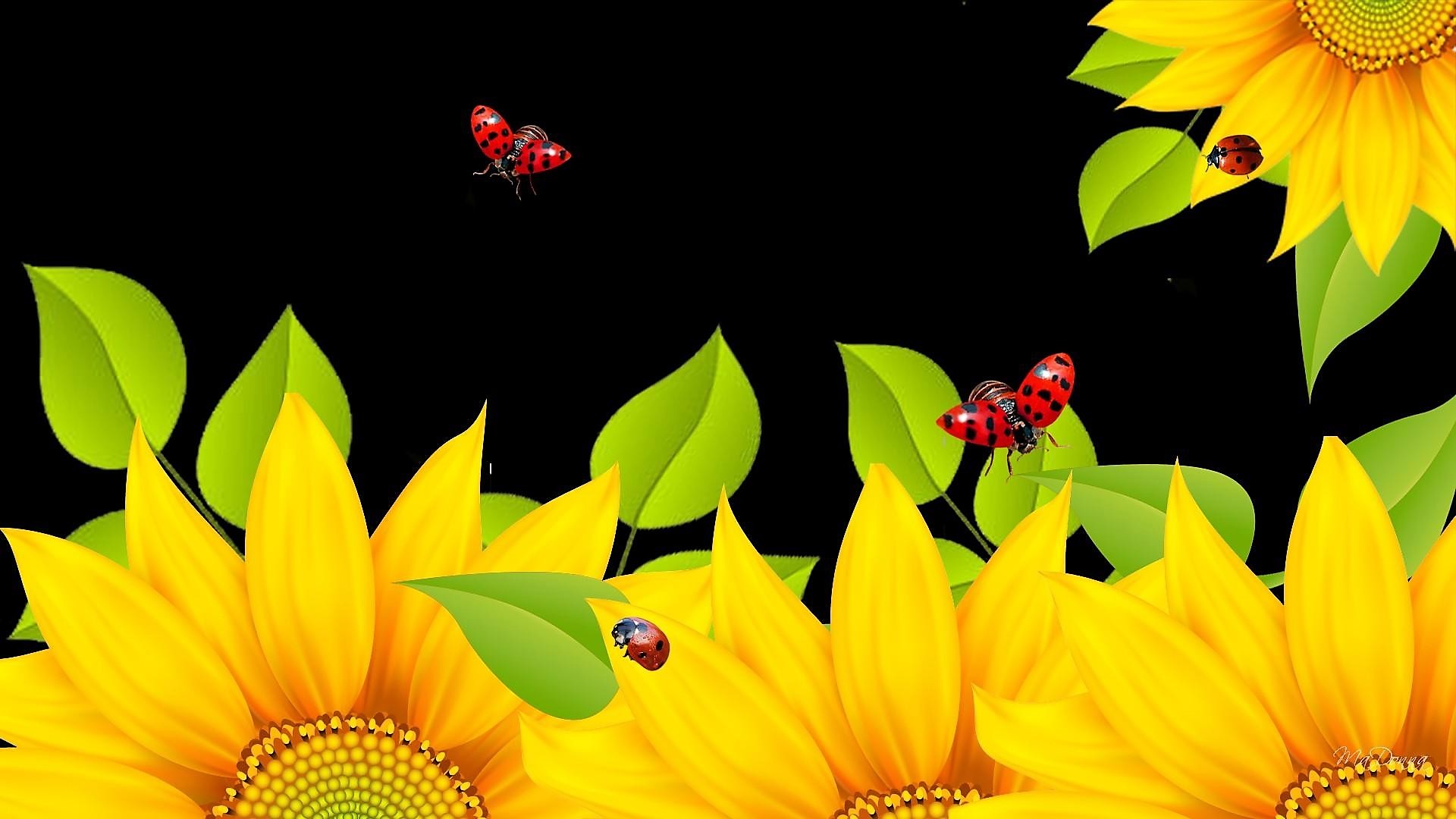 PCデスクトップにフラワーズ, ひまわり, てんとう虫, 花, 芸術的, 黄色い花, 虫画像を無料でダウンロード