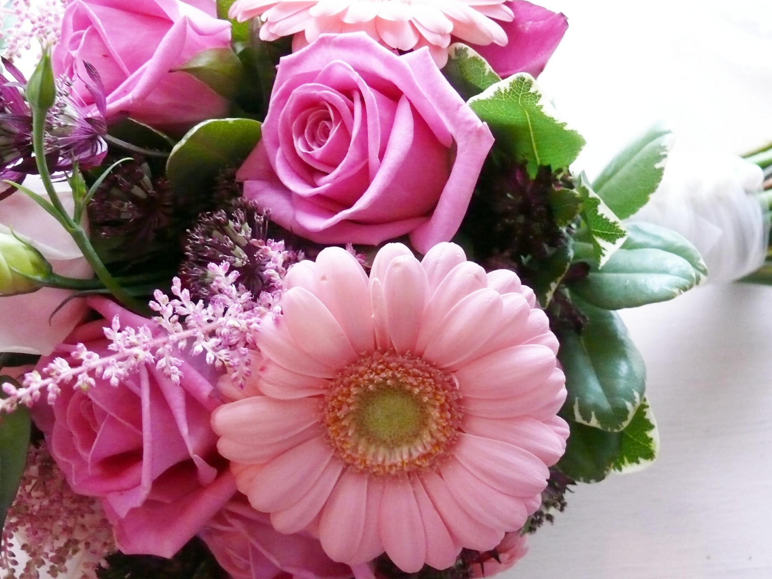 無料モバイル壁紙フラワーズ, ガーベラ, 花, 薔薇, 花束, 地球, ピンクの花をダウンロードします。