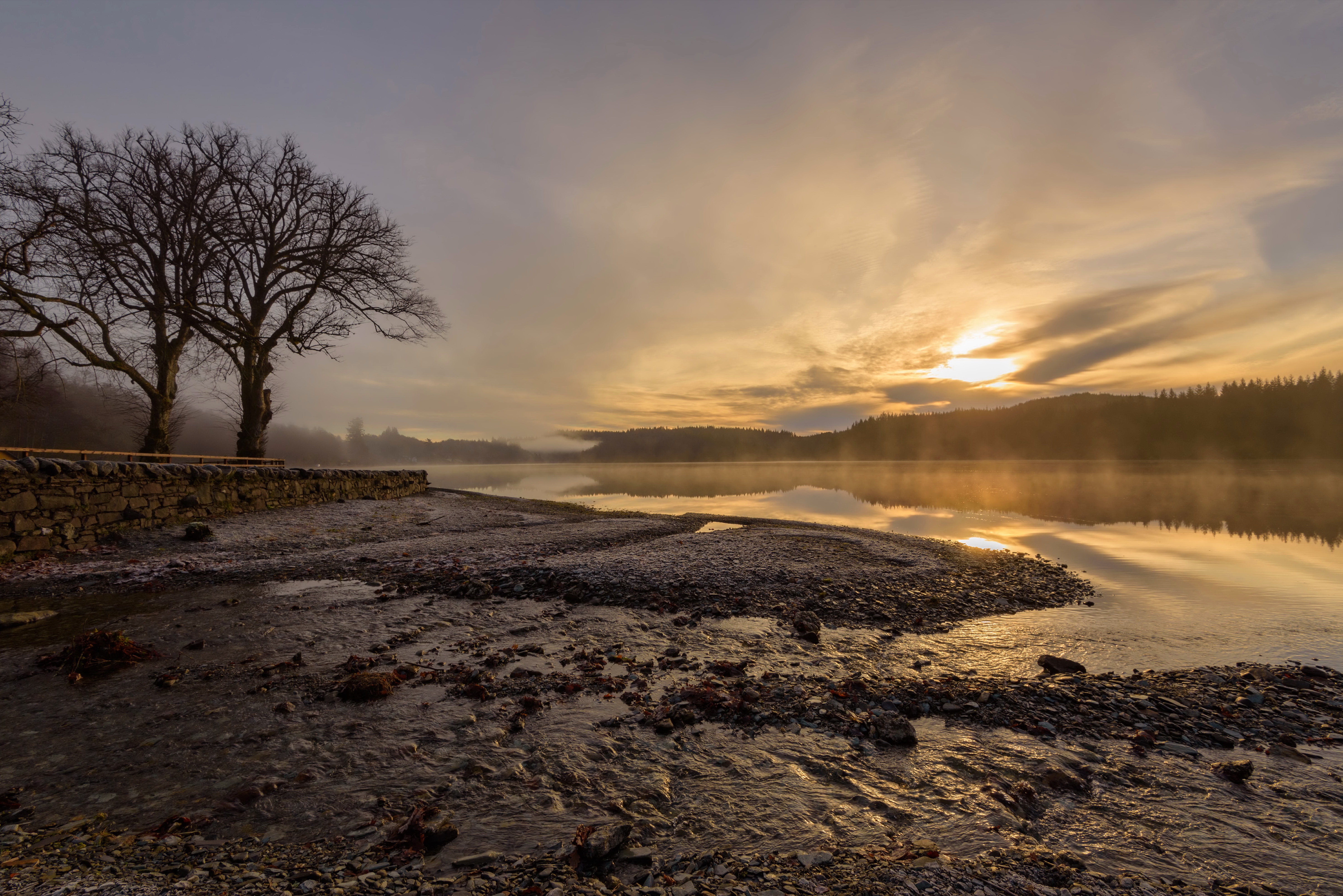 Download mobile wallpaper Lakes, Lake, Tree, Fog, Scotland, Photography for free.