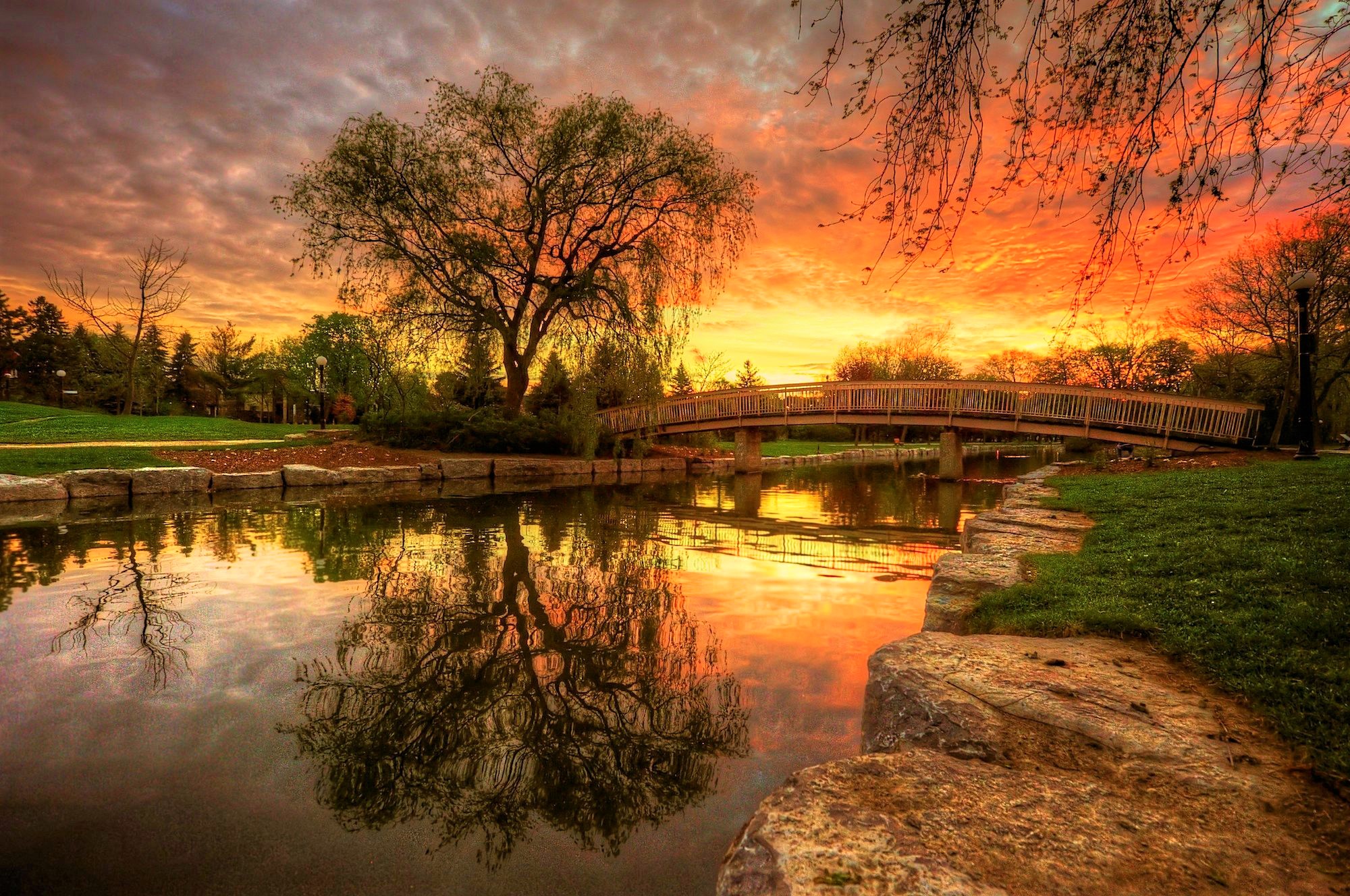 Laden Sie das Park, Baum, Fluss, Brücke, Himmel, Sonnenuntergang, Brücken, Menschengemacht, Spiegelung, Orange Farbe)-Bild kostenlos auf Ihren PC-Desktop herunter