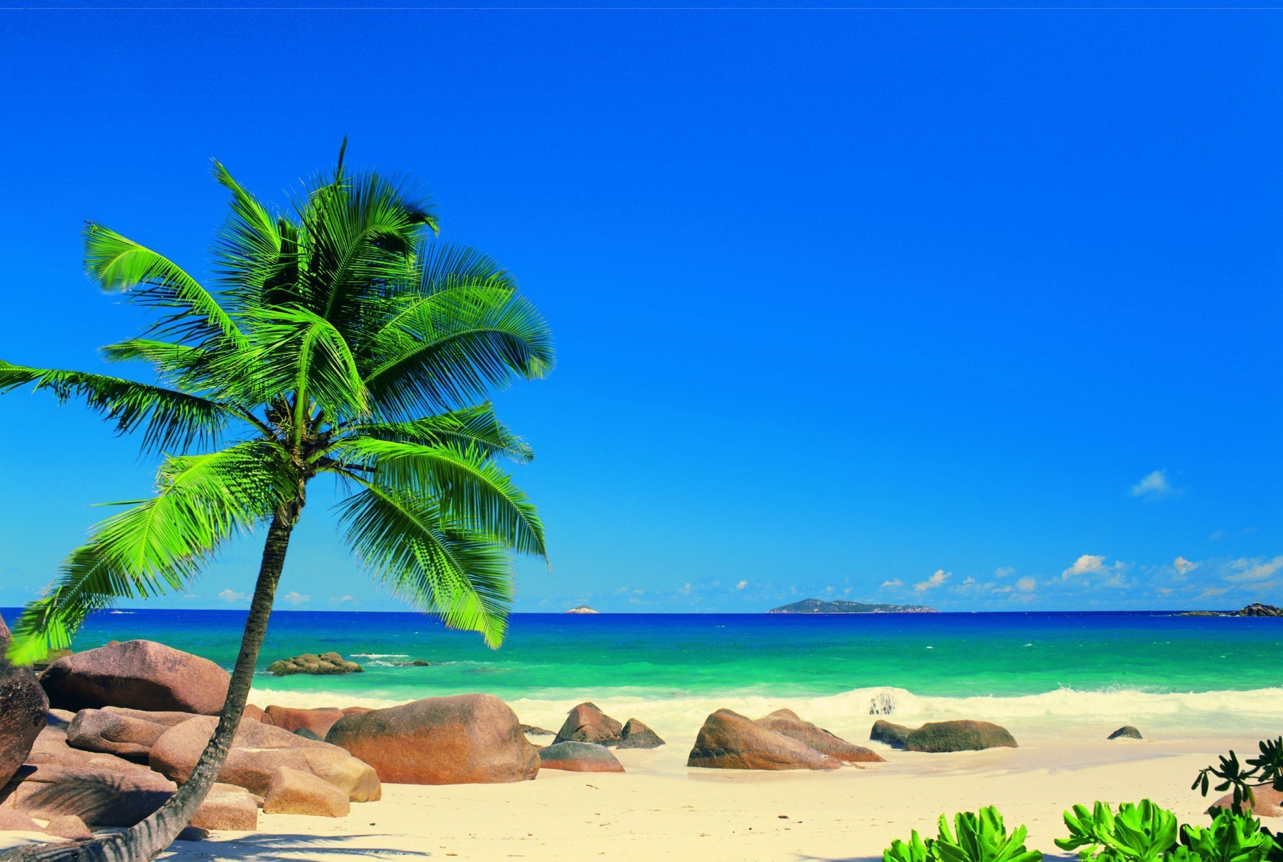Descarga gratis la imagen Cielo, Mar, Playa, Tierra/naturaleza, Palmera en el escritorio de tu PC