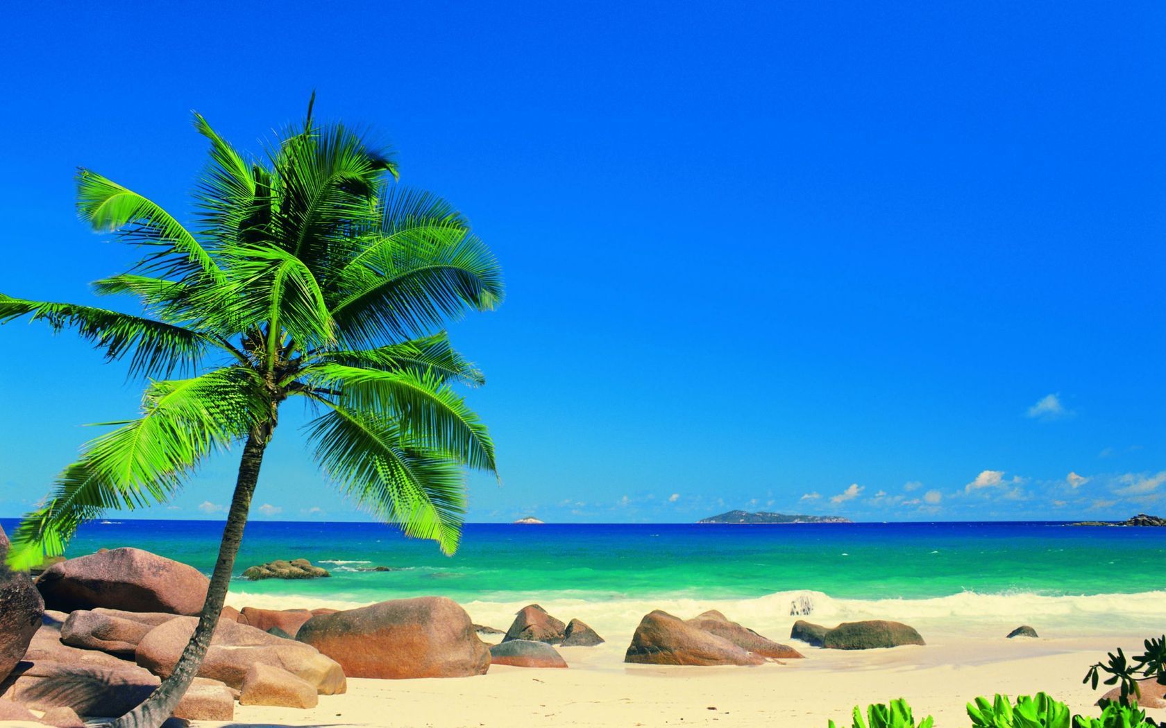 16660 скачать картинку море, пляж, пальмы, синие, пейзаж - обои и заставки бесплатно