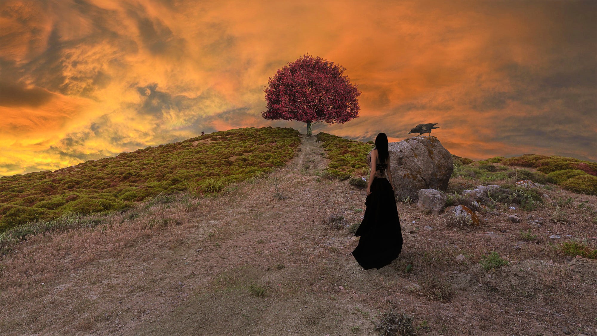 Free download wallpaper Sunset, Sky, Gothic, Tree, Hill, Artistic, Raven, Women on your PC desktop