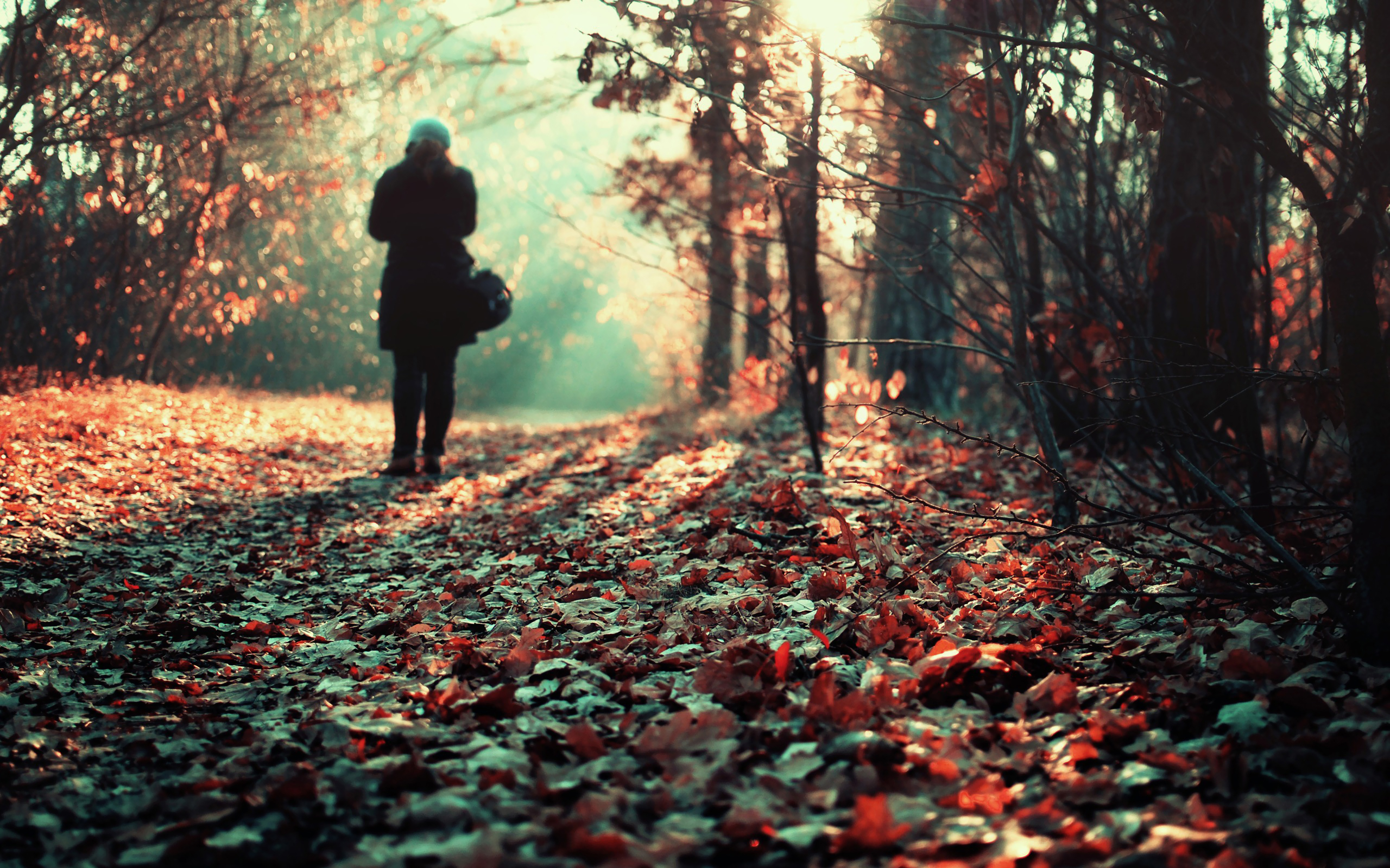 Download mobile wallpaper People, Forest, Leaf, Fall, Alone, Mood, Women, Emo for free.