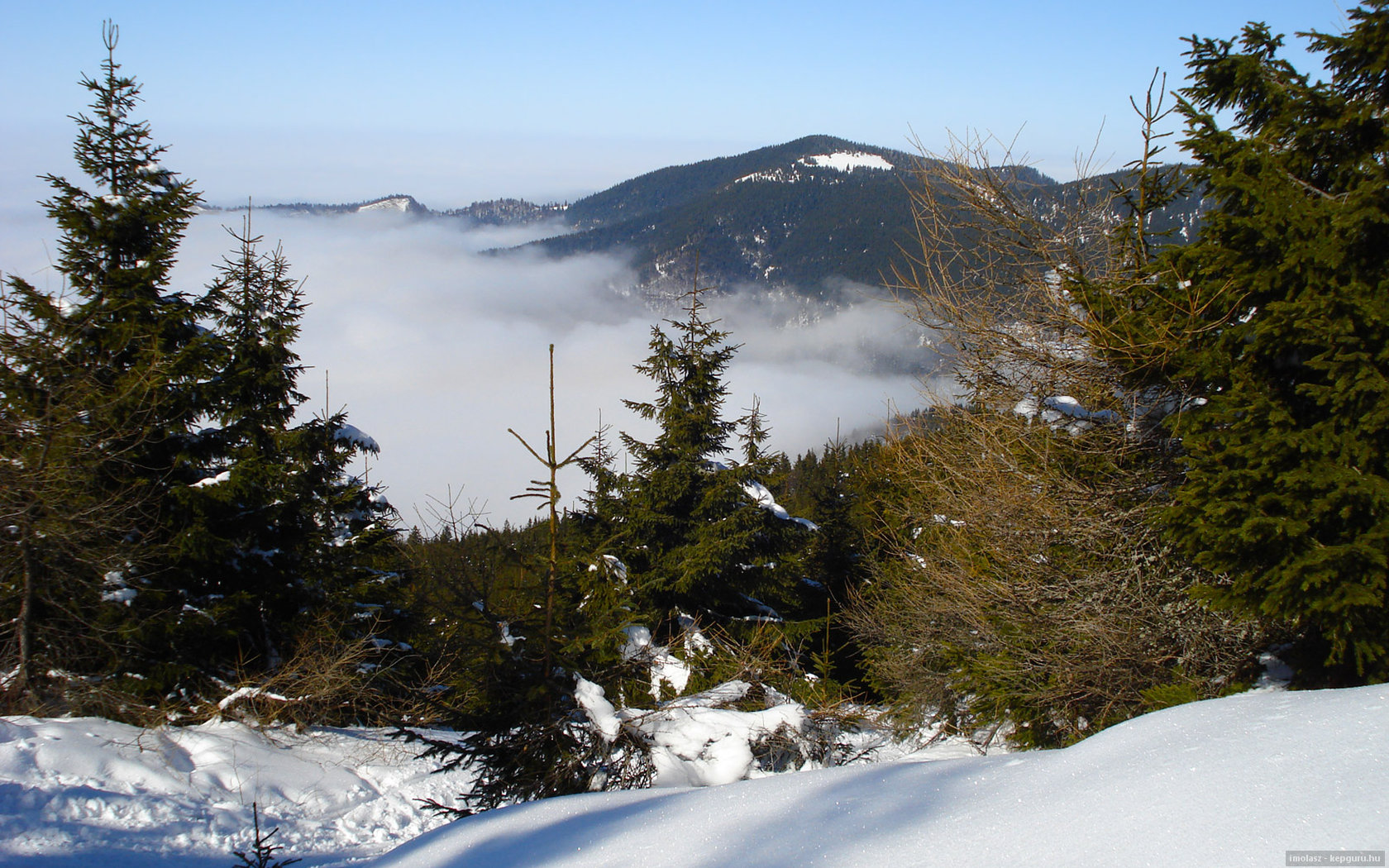 Handy-Wallpaper Landschaft, Erde/natur kostenlos herunterladen.