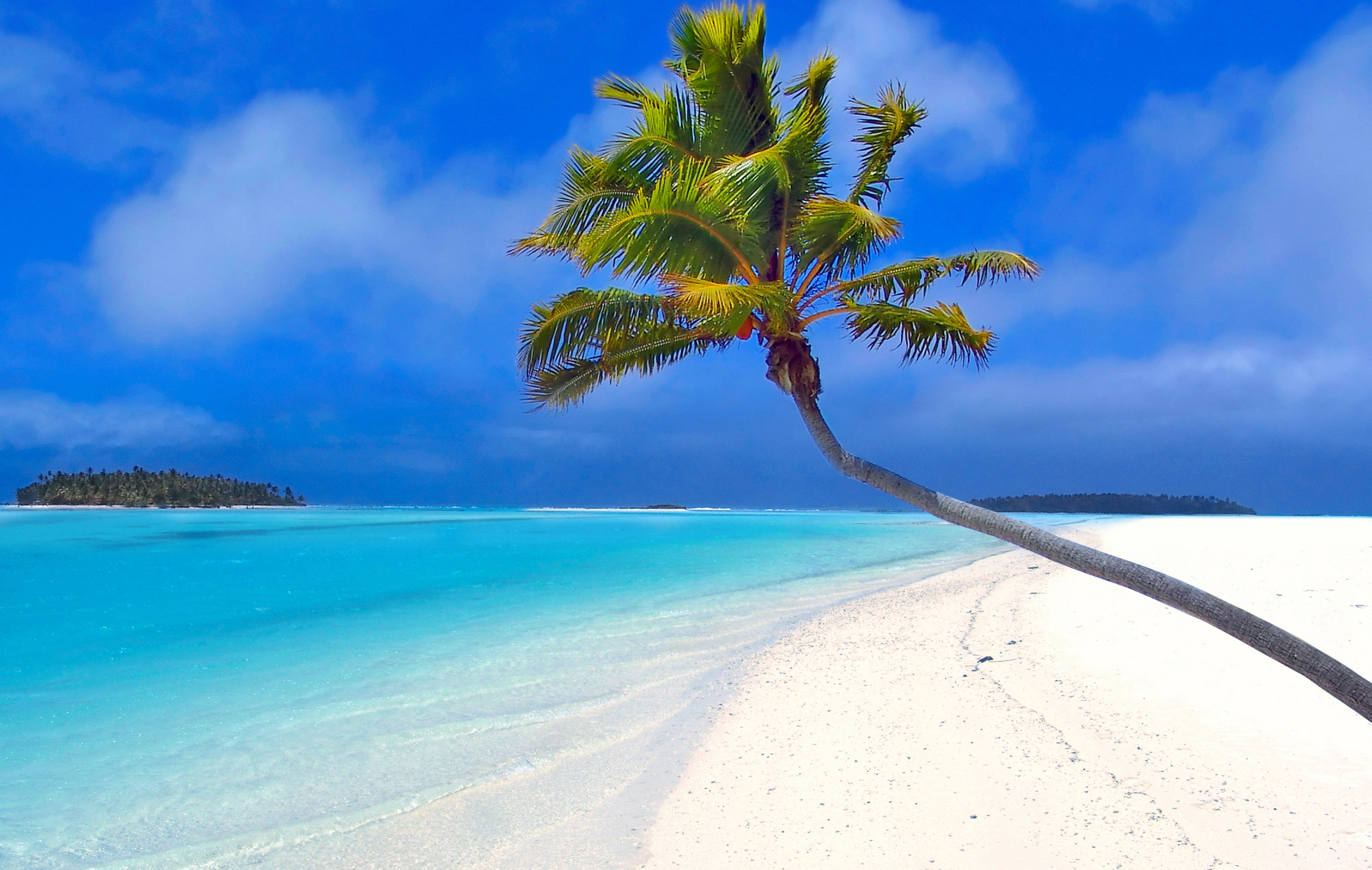 Download mobile wallpaper Sea, Beach, Horizon, Ocean, Earth, Island, Tropical, Maldives, Palm Tree for free.