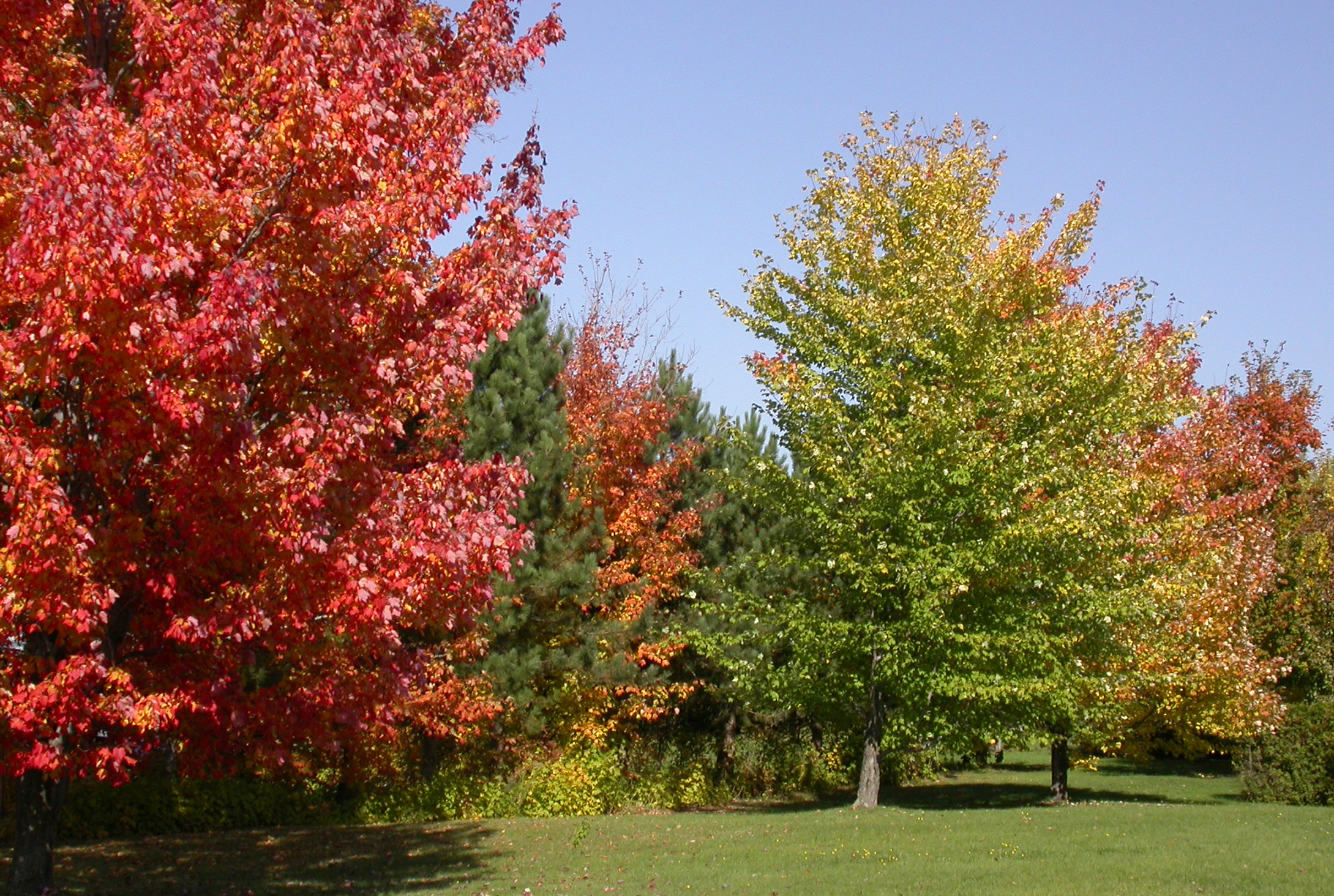 Téléchargez gratuitement l'image Automne, Terre/nature sur le bureau de votre PC