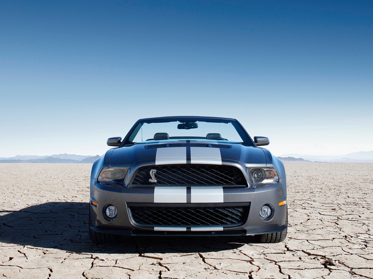 Téléchargez des papiers peints mobile Ford Mustang, Véhicules gratuitement.