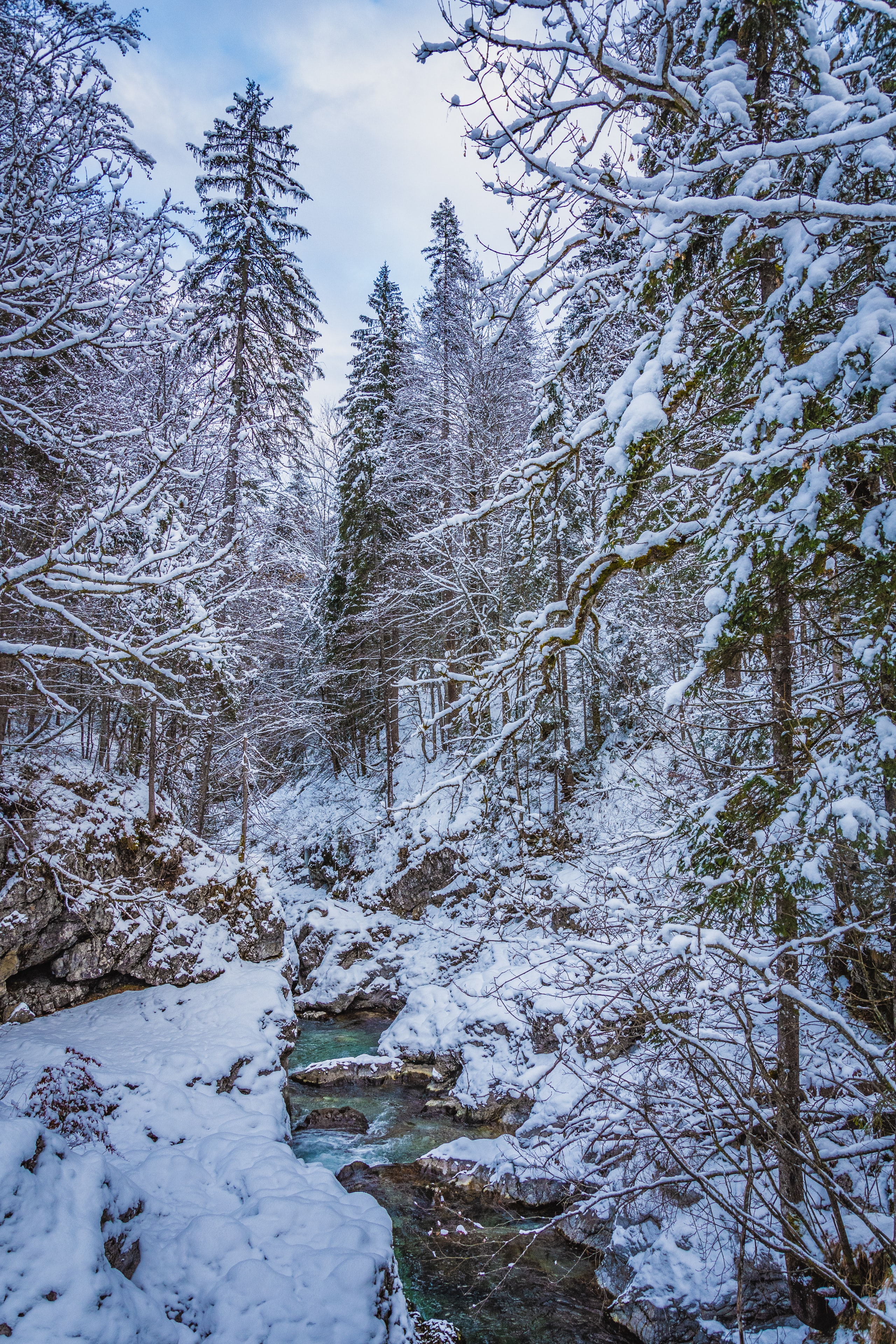 Free download wallpaper Creek, Brook, Winter, Trees, Snow, Nature, Forest on your PC desktop