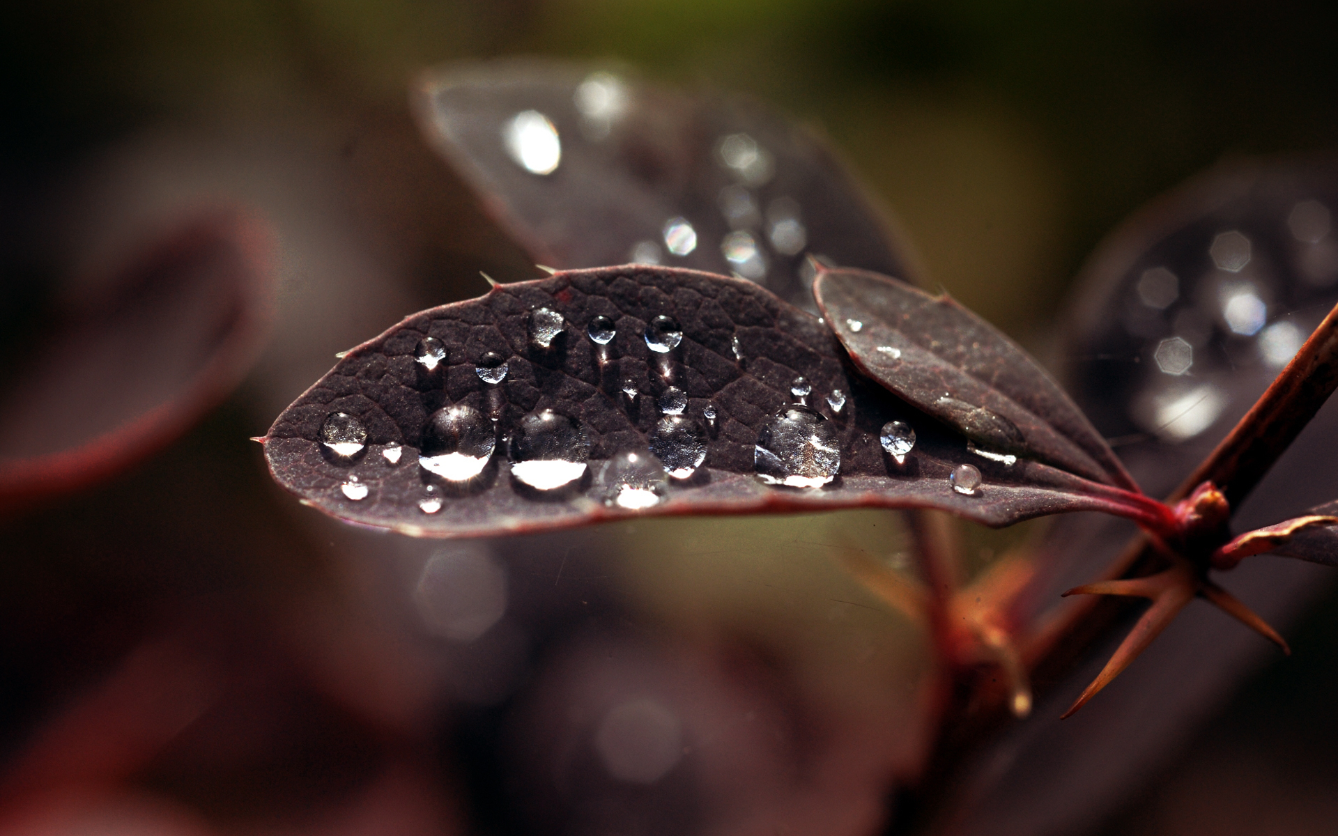 Download mobile wallpaper Earth, Water Drop for free.