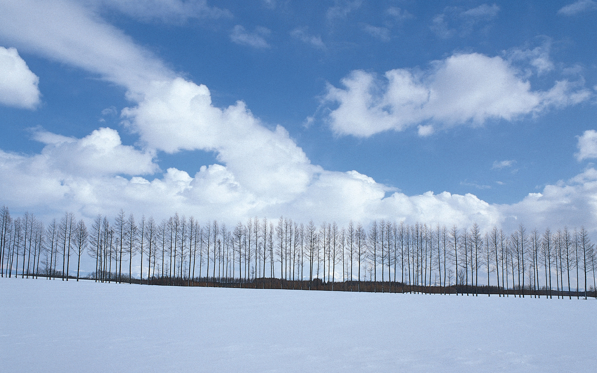 Download mobile wallpaper Winter, Earth for free.