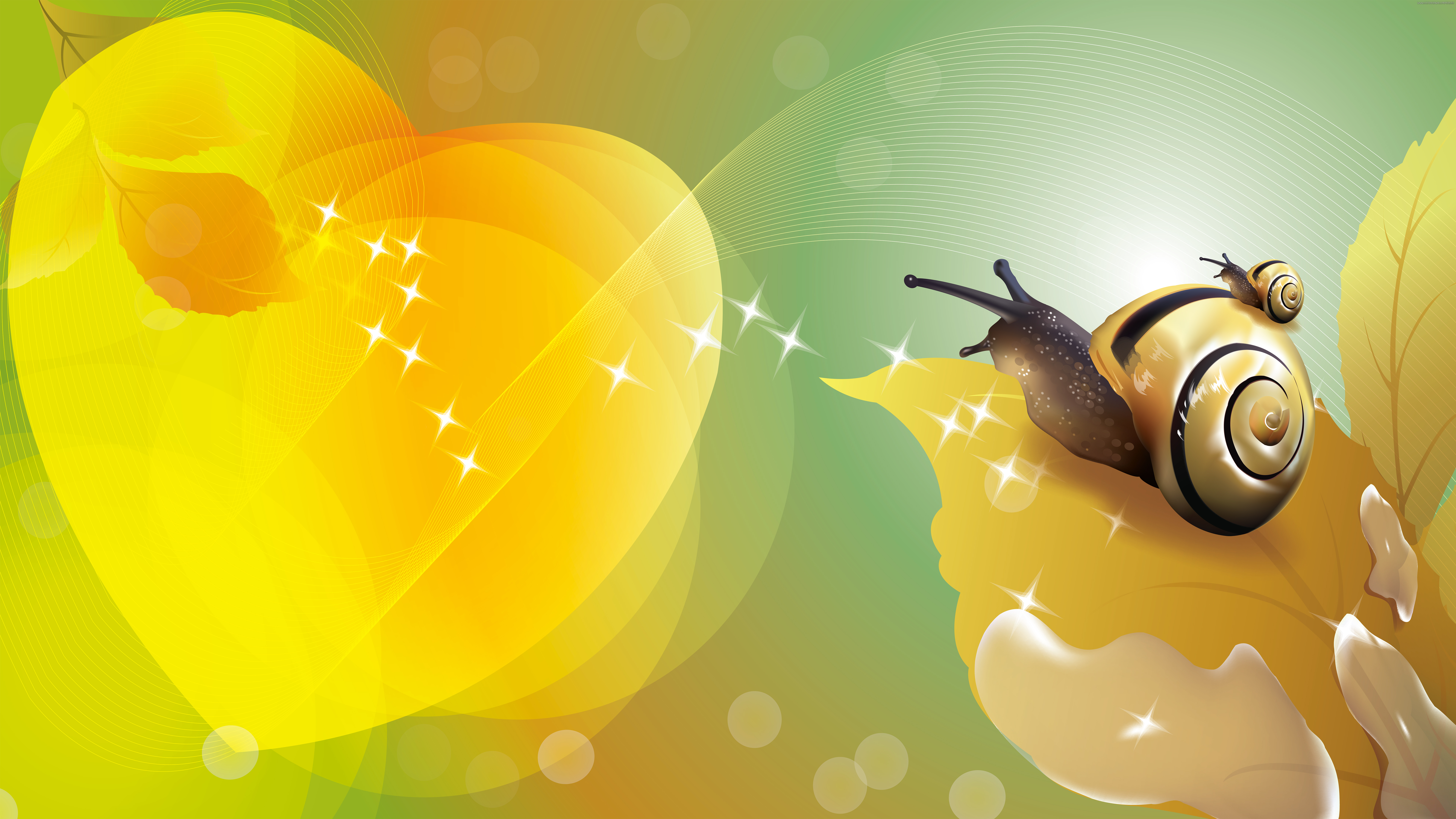 Free download wallpaper Animal, Snail on your PC desktop