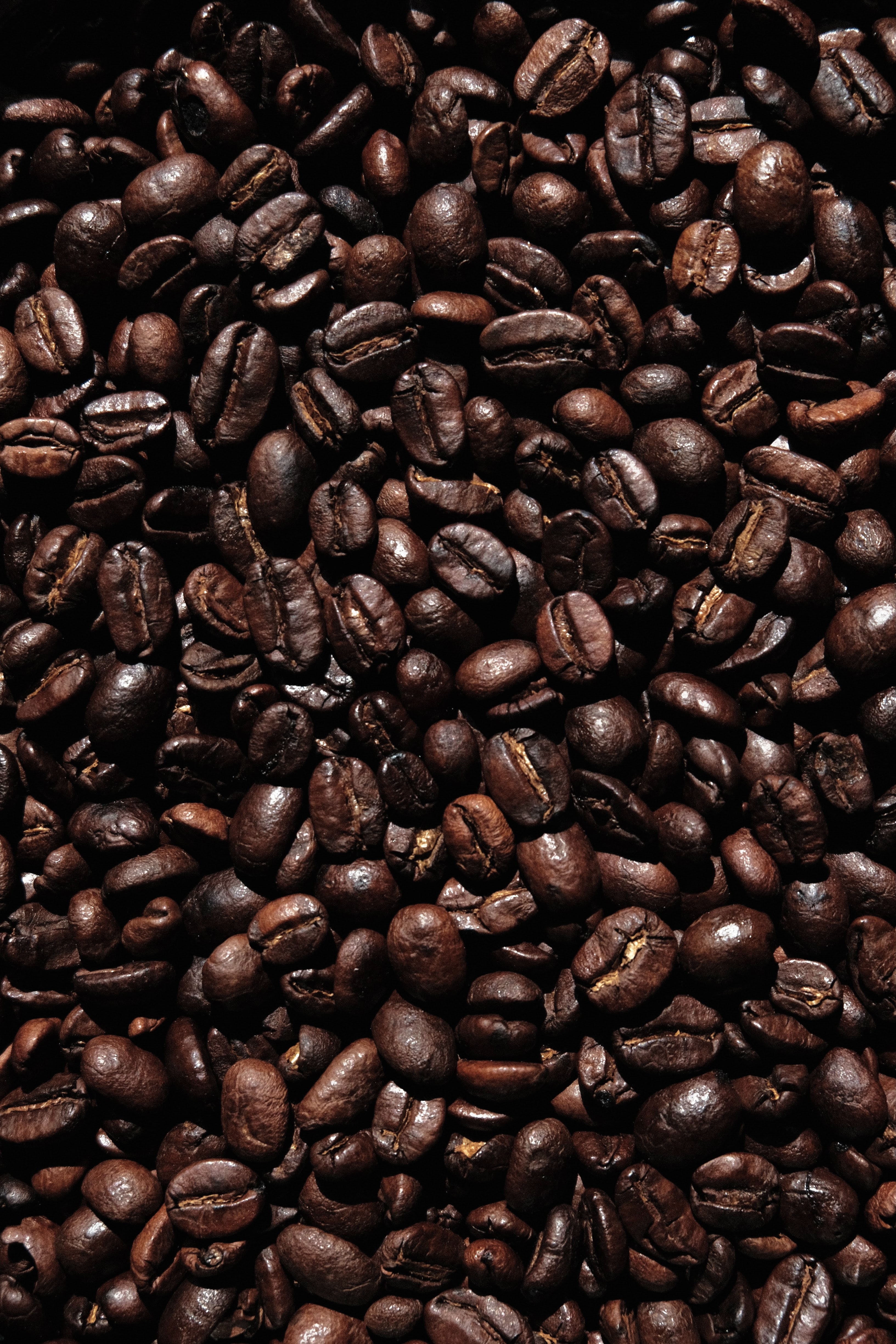 brown, coffee, coffee beans, food, macro, dark, grains, grain QHD