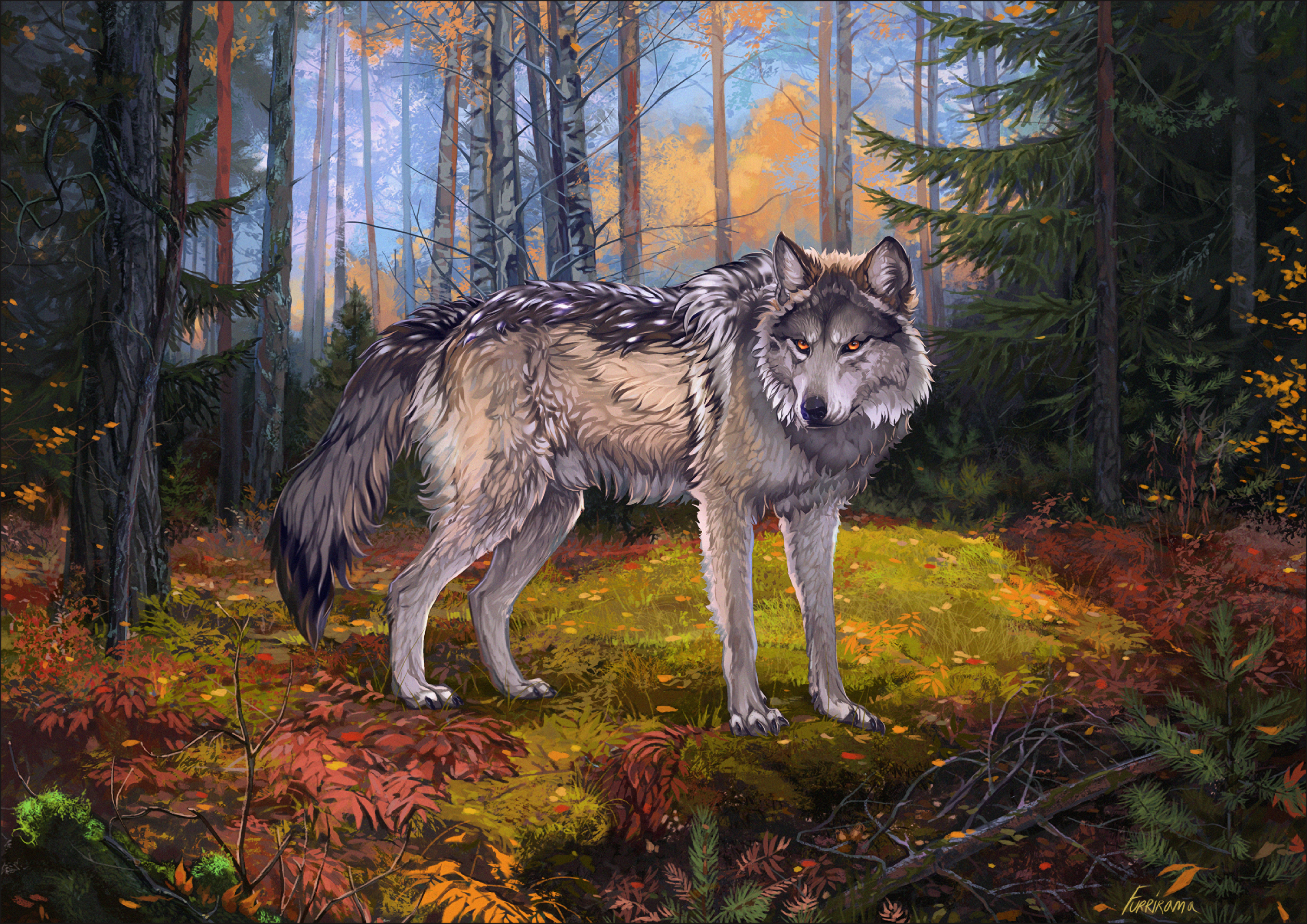 129870画像をダウンロードアート, グレー, 森林, 森, 灰色, 狼, 野生動物, 鳥獣-壁紙とスクリーンセーバーを無料で