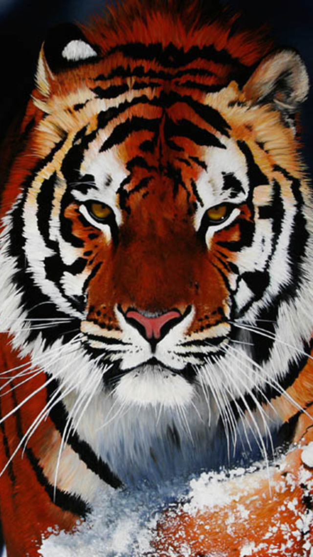 1169358 Hintergrundbild herunterladen tiere, tiger, malerei, nahansicht, sibirischer tiger, katzen - Bildschirmschoner und Bilder kostenlos