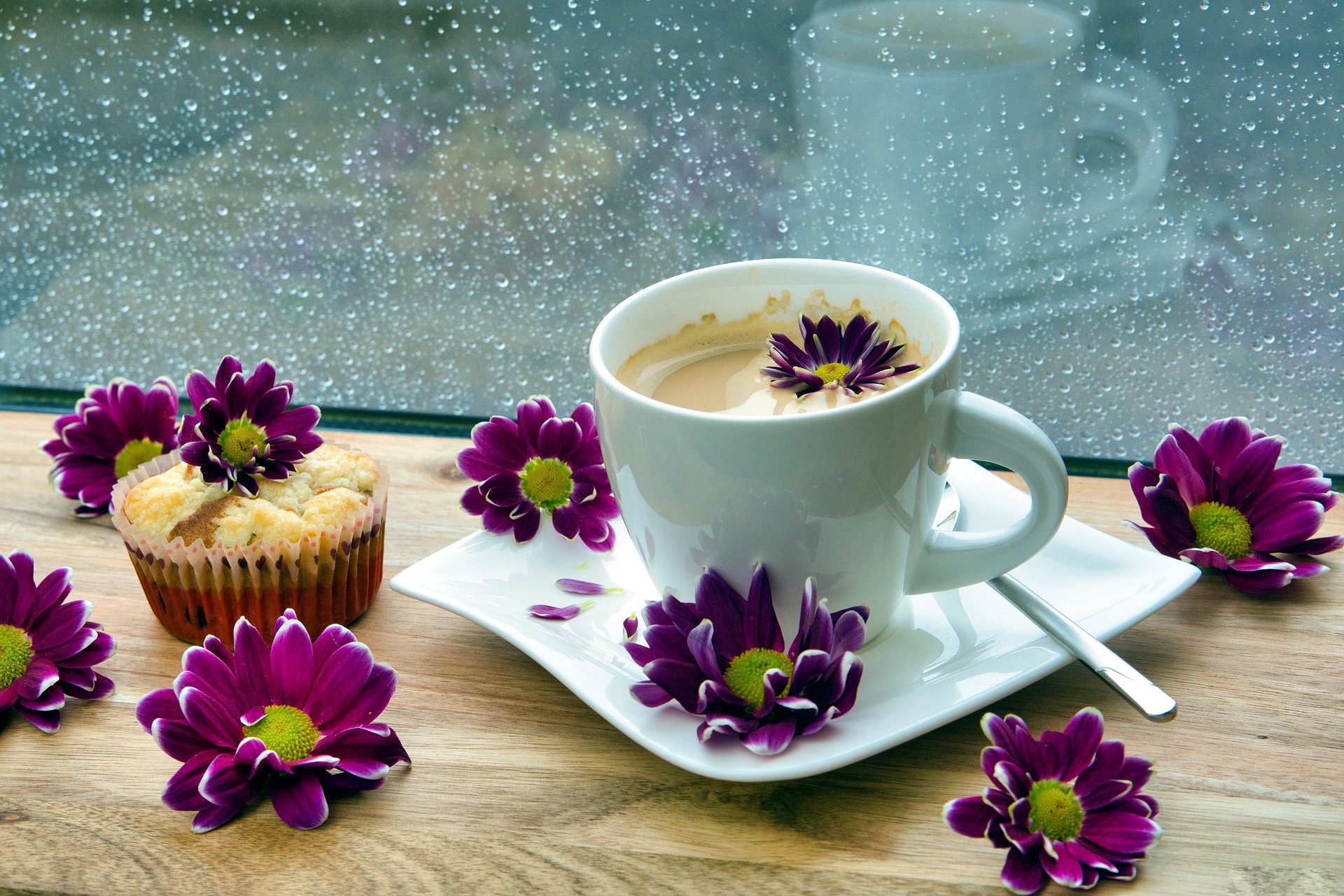 Descarga gratis la imagen Crisantemo, Café, Flor, Taza, Bebida, Alimento en el escritorio de tu PC