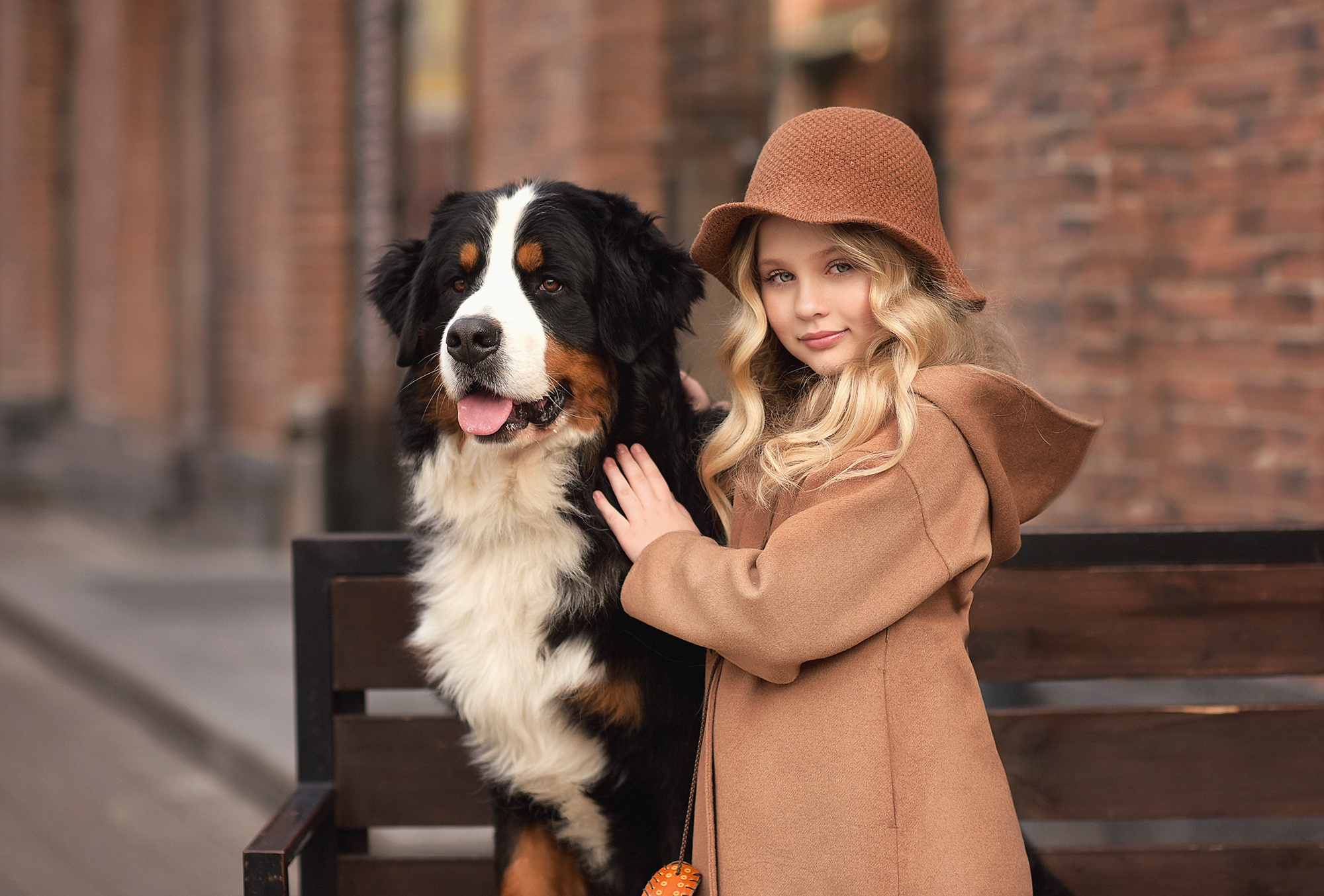 photography, child, bernese mountain dog, blonde, coat, dog, hat