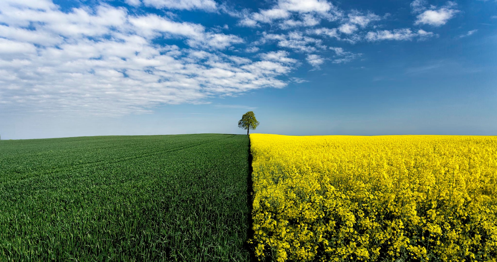 Laden Sie das Feld, Erde/natur-Bild kostenlos auf Ihren PC-Desktop herunter