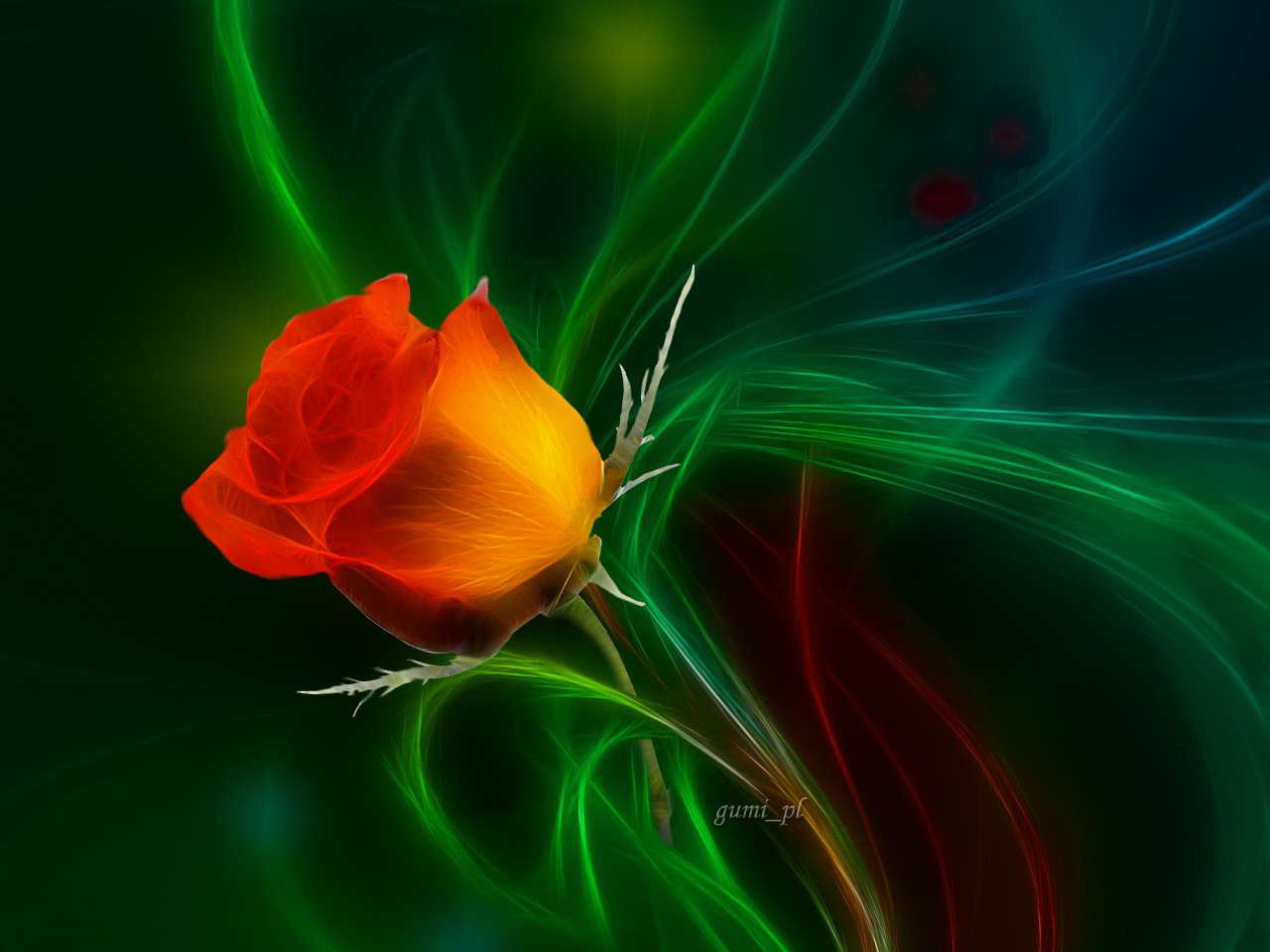 Laden Sie das Blume, Rose, Künstlerisch-Bild kostenlos auf Ihren PC-Desktop herunter