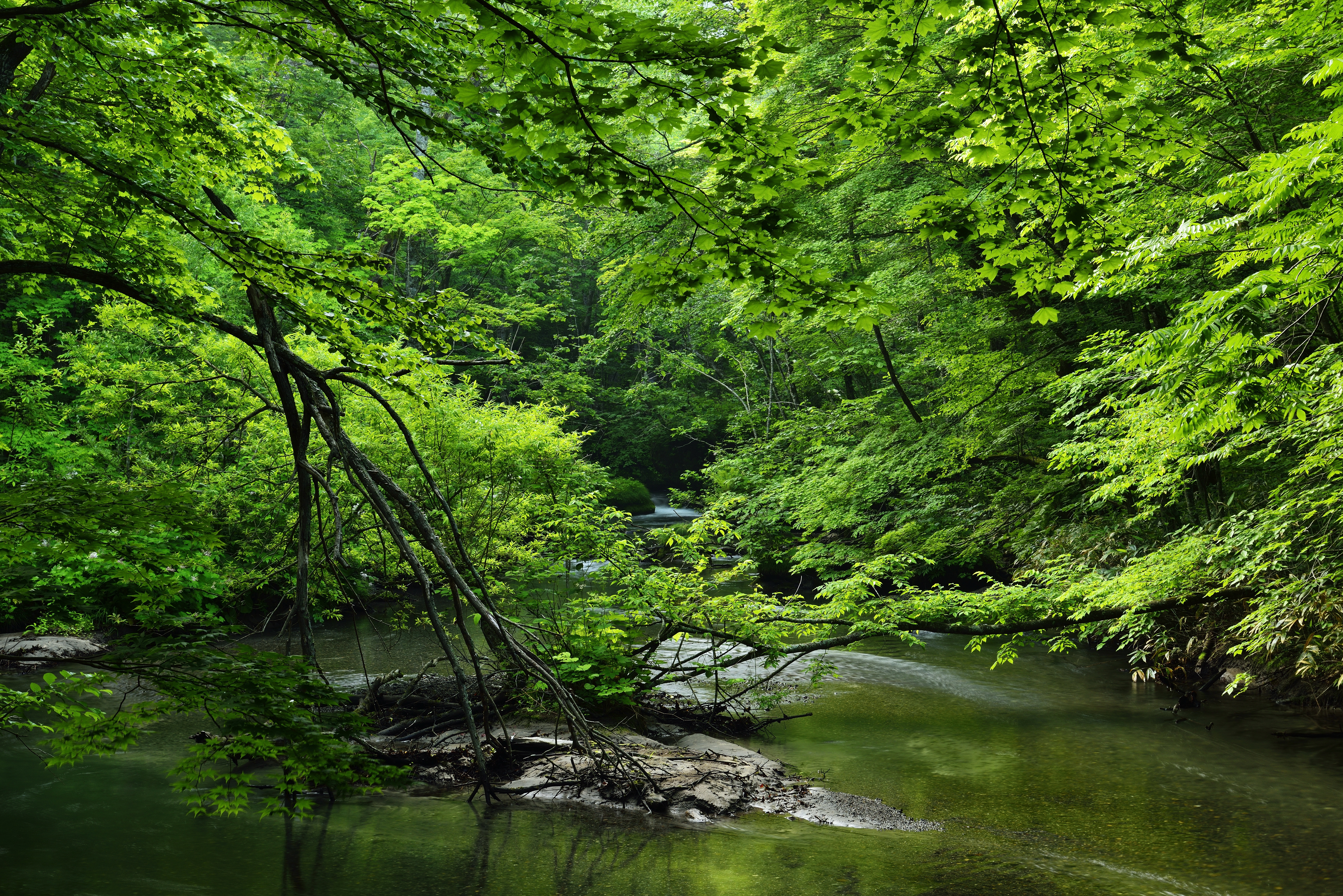Скачать картинку Природа, Река, Зеленый, Земля/природа в телефон бесплатно.