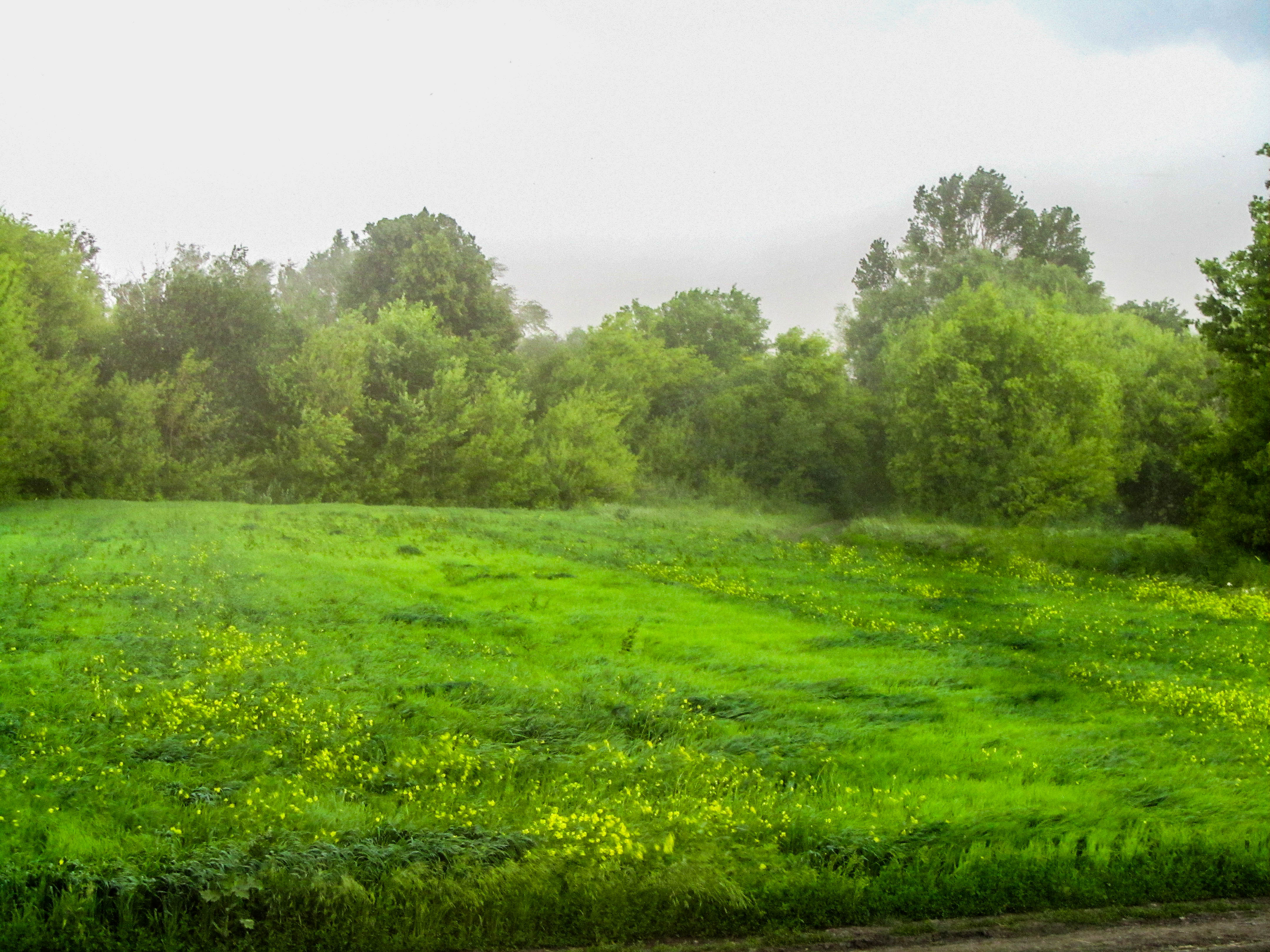 Descarga gratuita de fondo de pantalla para móvil de Campo, Tierra/naturaleza.