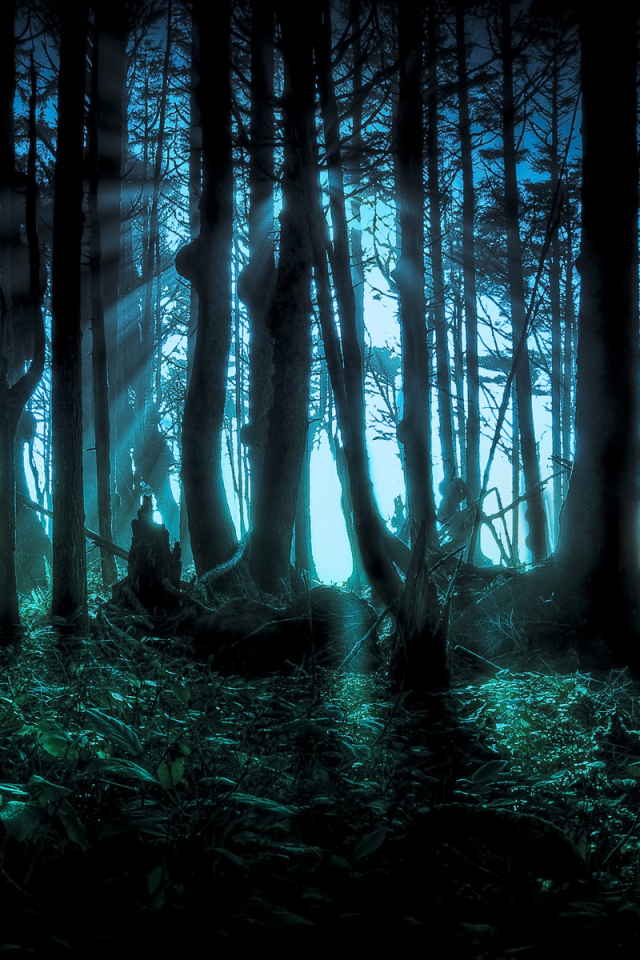 Download mobile wallpaper Night, Dark, Wood, Forest, Tree, Creepy, Spooky for free.