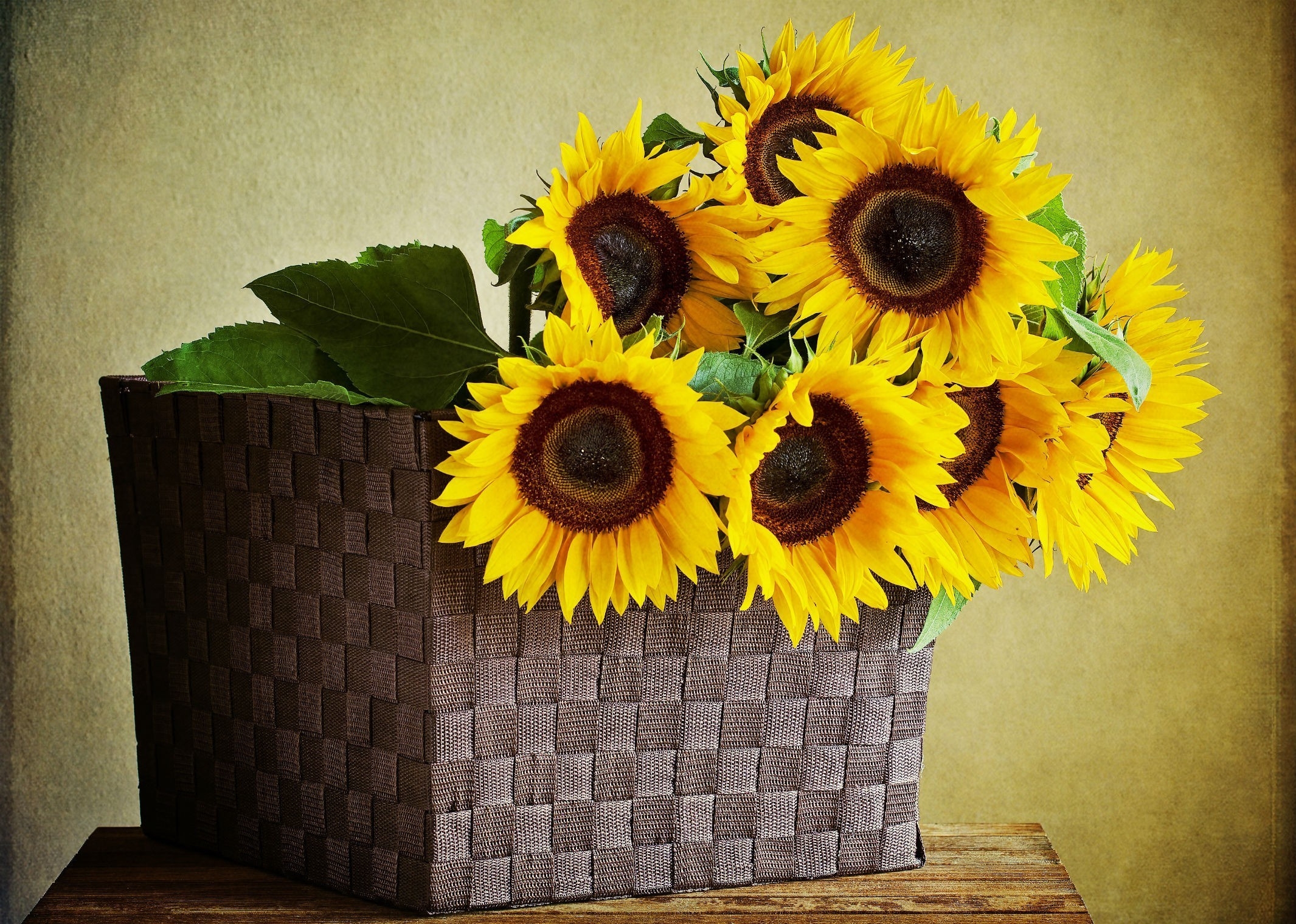 Laden Sie das Blätter, Tisch, Tabelle, Korb, Wand, Blumen, Sonnenblumen-Bild kostenlos auf Ihren PC-Desktop herunter