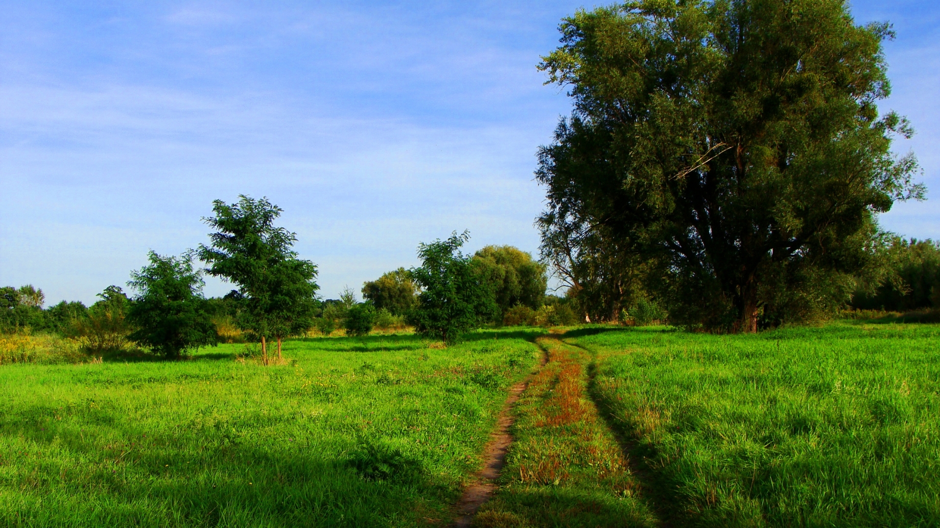 Baixar papel de parede para celular de Campo, Terra/natureza gratuito.