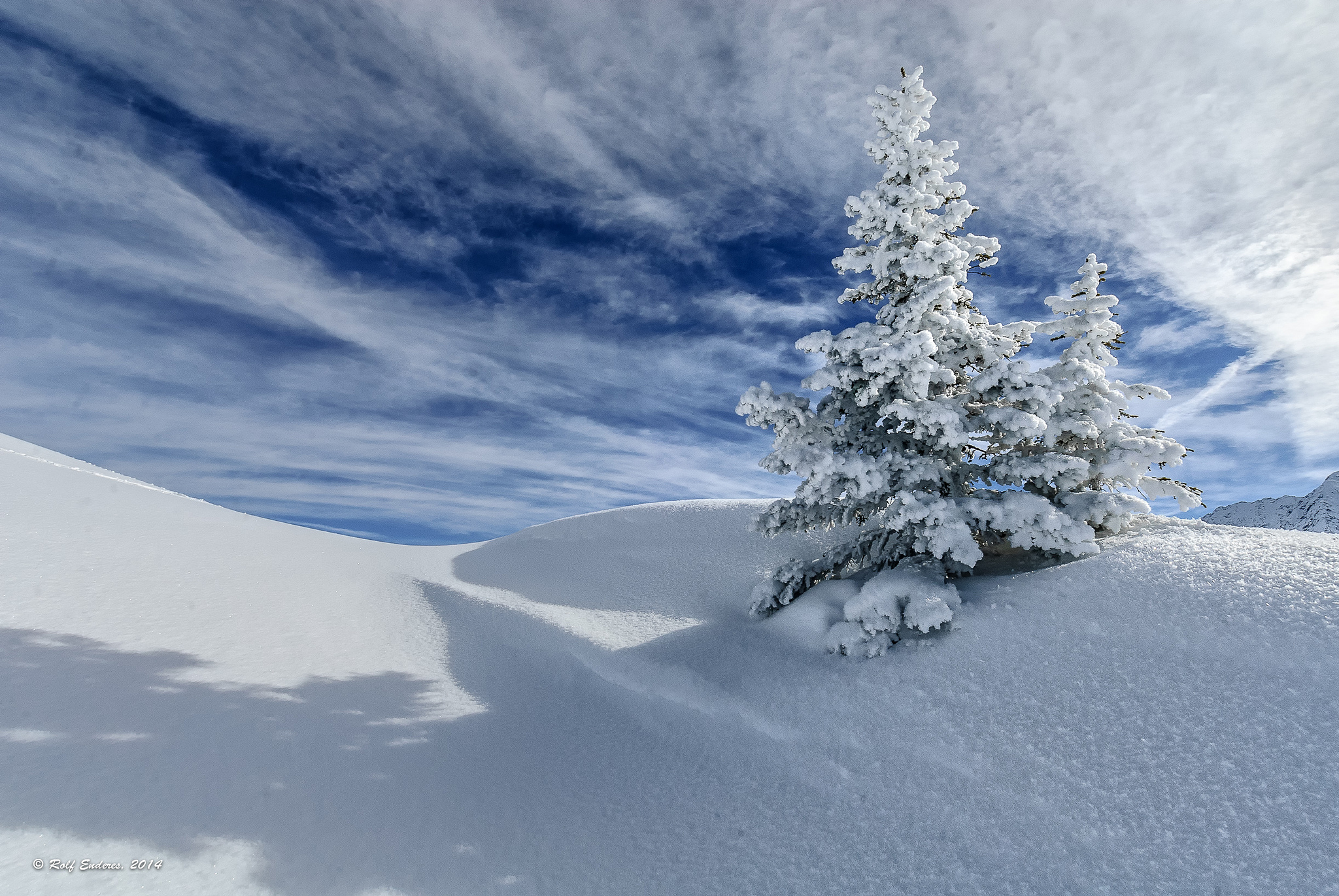 Download mobile wallpaper Winter, Snow, Tree, Earth for free.