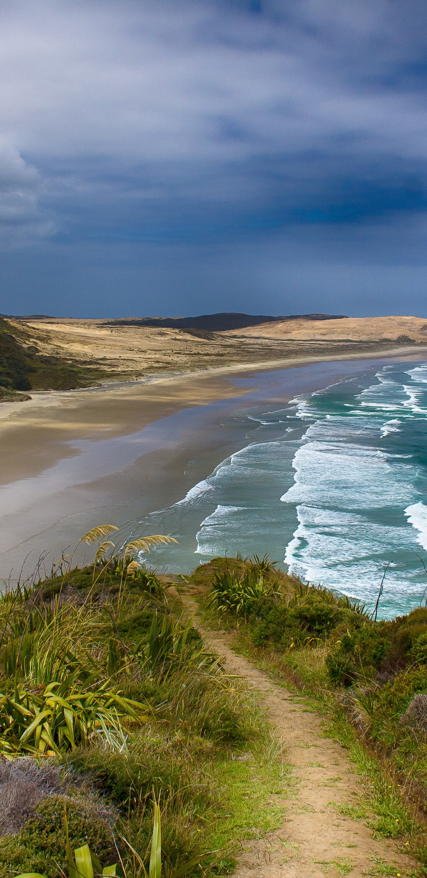 Скачать картинку Пляж, Новая Зеландия, Береговая Линия, Земля/природа в телефон бесплатно.
