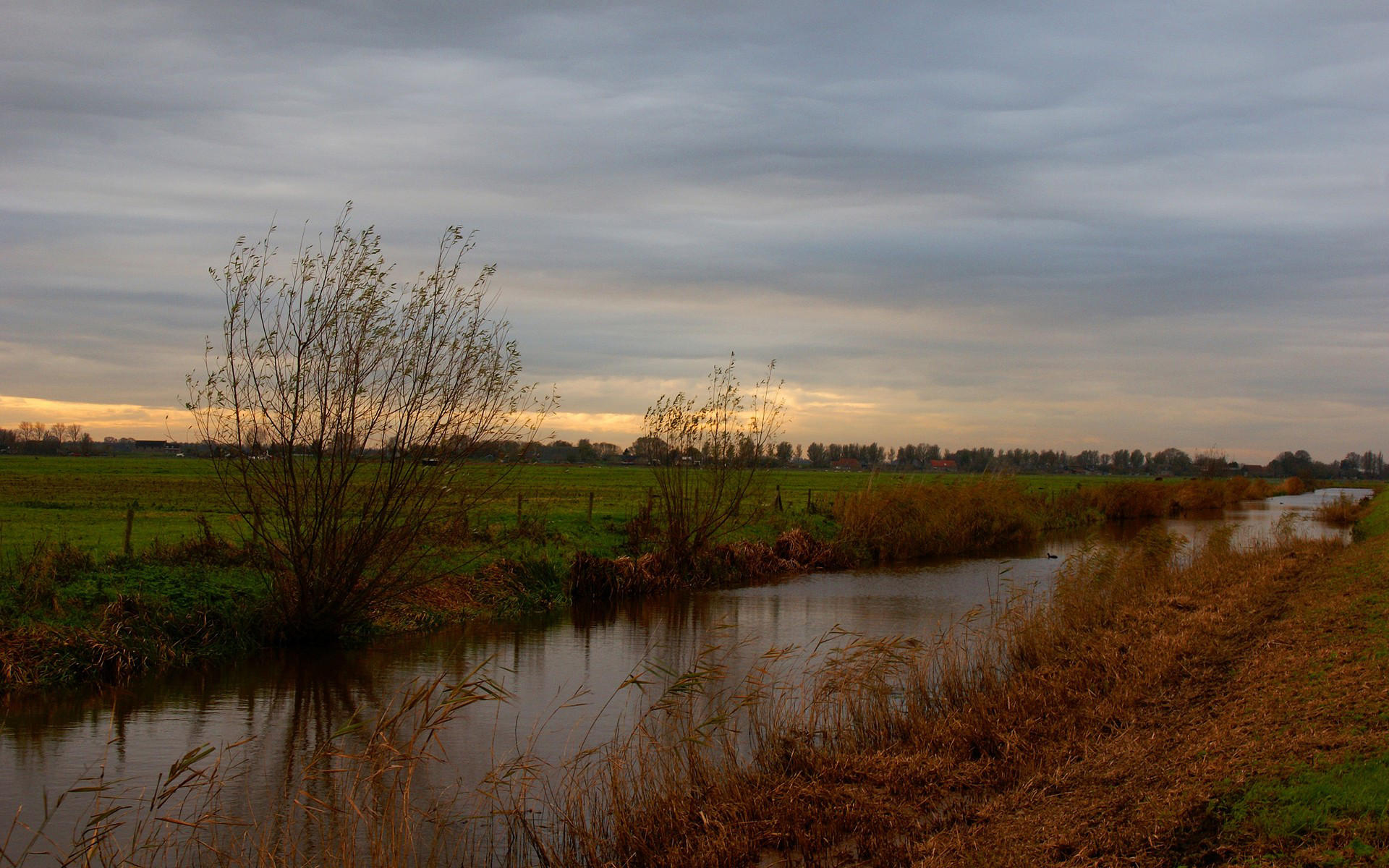 Handy-Wallpaper Fluss, Erde/natur kostenlos herunterladen.