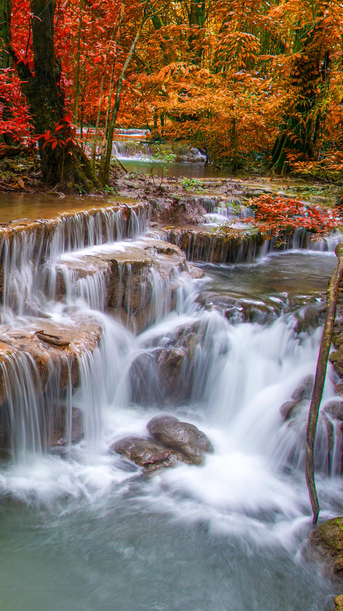 Download mobile wallpaper Nature, Waterfalls, Waterfall, Forest, Tree, Fall, Earth for free.
