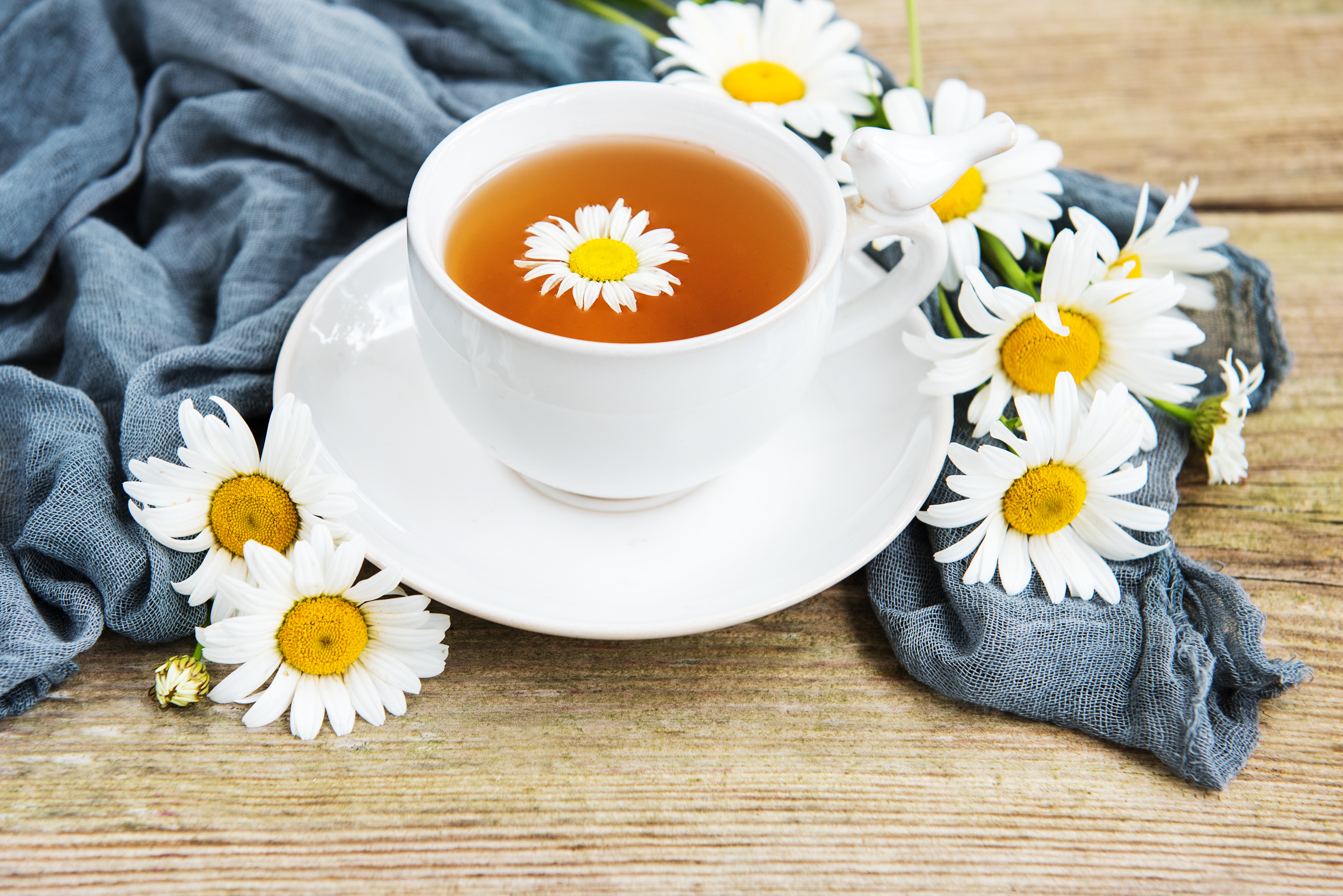 Handy-Wallpaper Tasse, Tee, Gänseblümchen, Weiße Blume, Nahrungsmittel, Getränk kostenlos herunterladen.