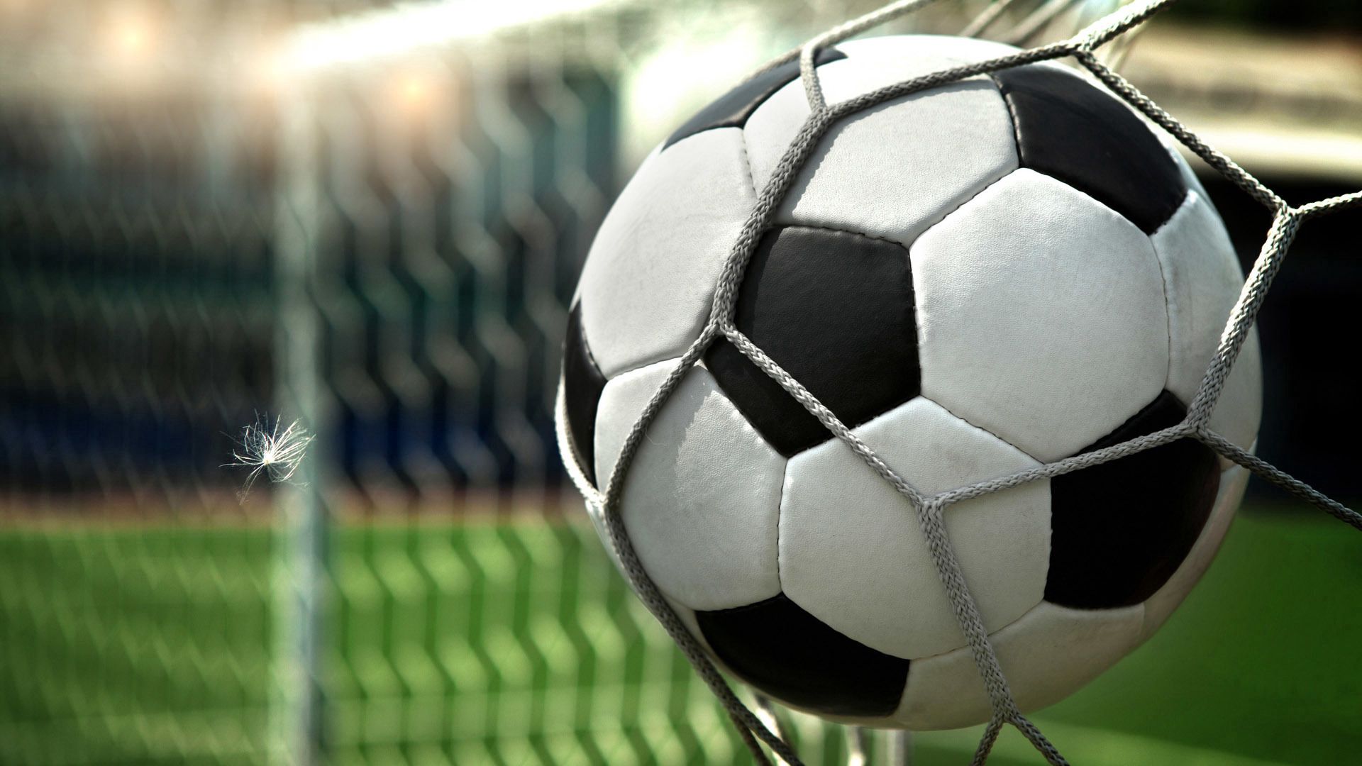 Laden Sie das Sport, Ball, Gitter, Raster, Fußball-Bild kostenlos auf Ihren PC-Desktop herunter