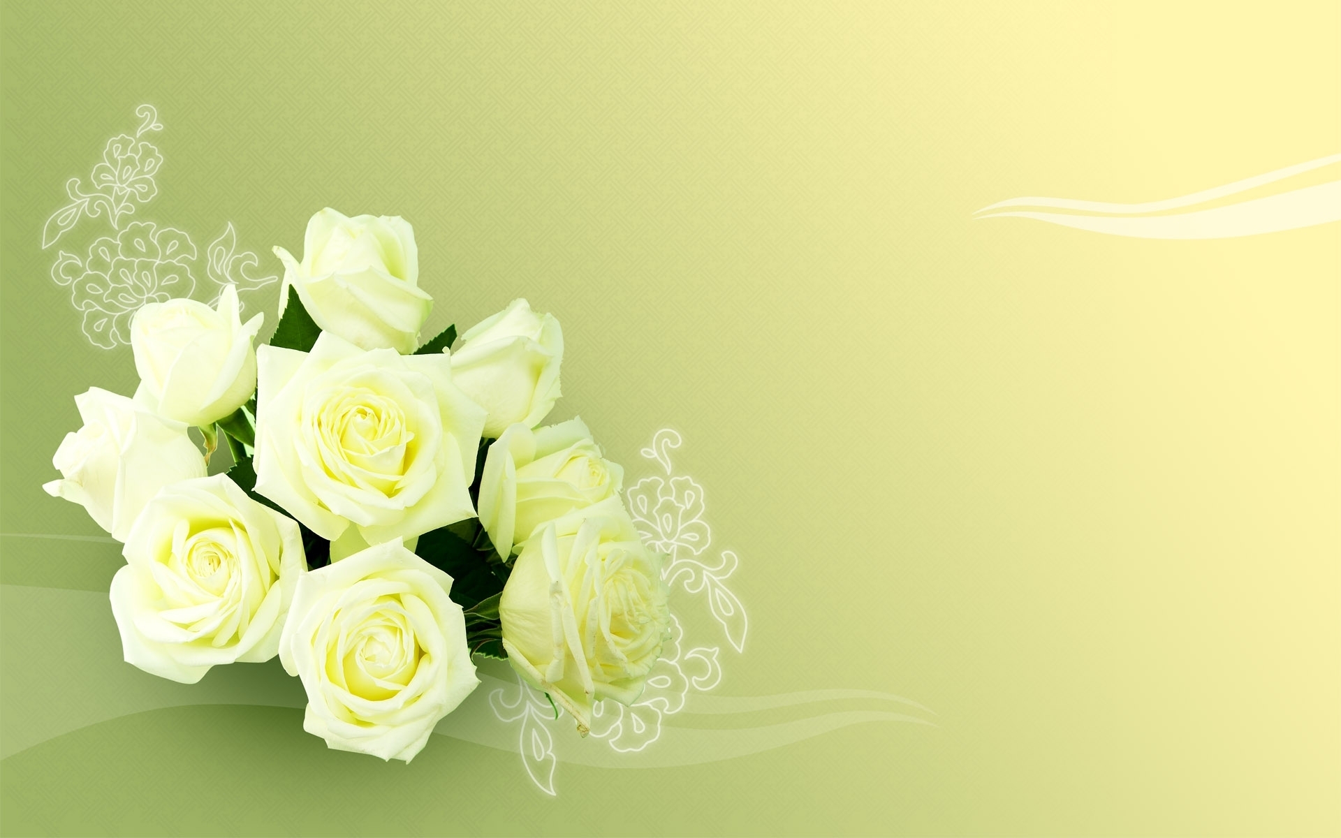 flowers, plants, roses, yellow 4K for PC